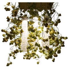 Flower Power Physalis Chandelier, cm h 80 65x65, Italy