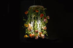 Flower Power Poppy Chandelier, cm h 80 d 60, Italy