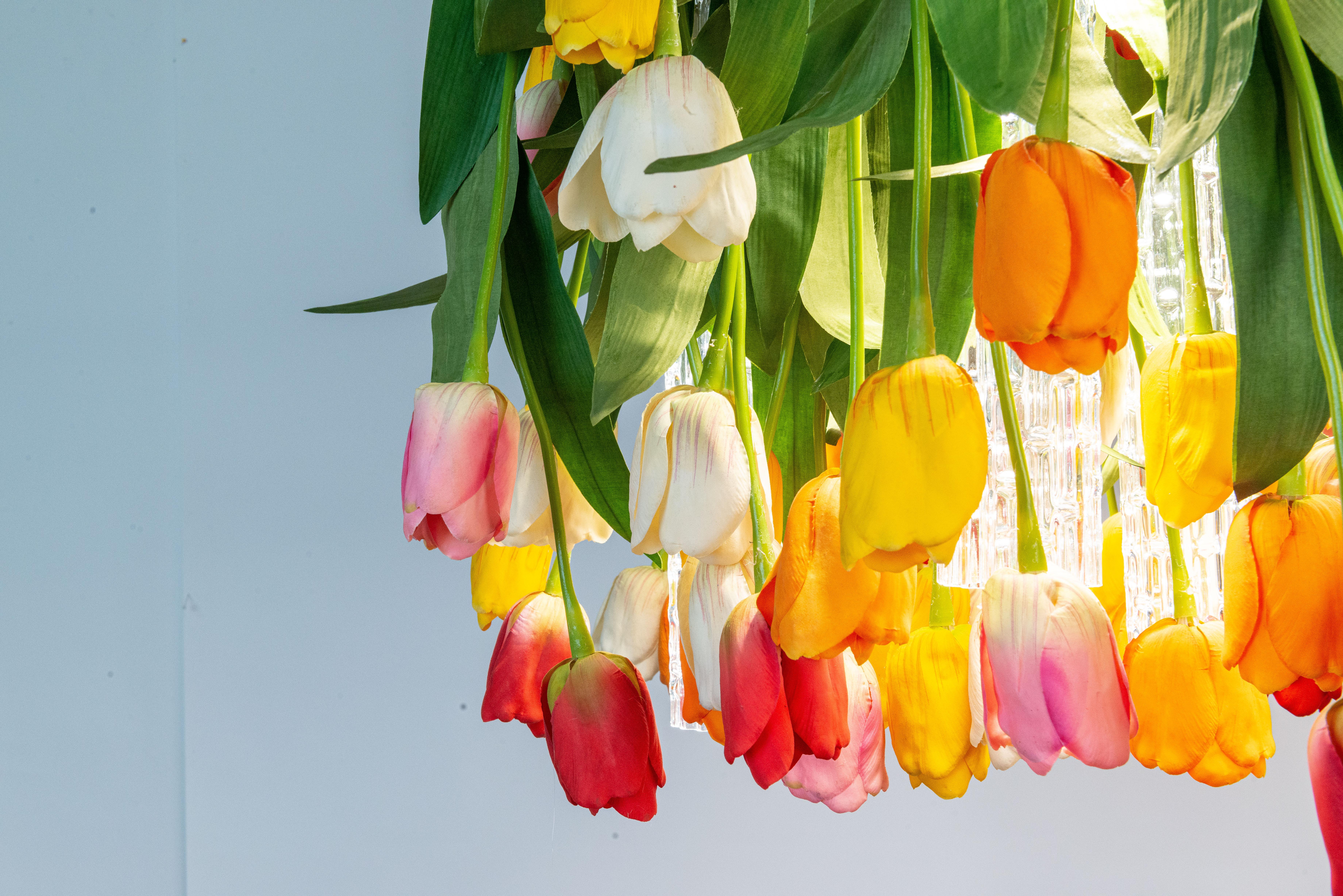 tulip chandelier