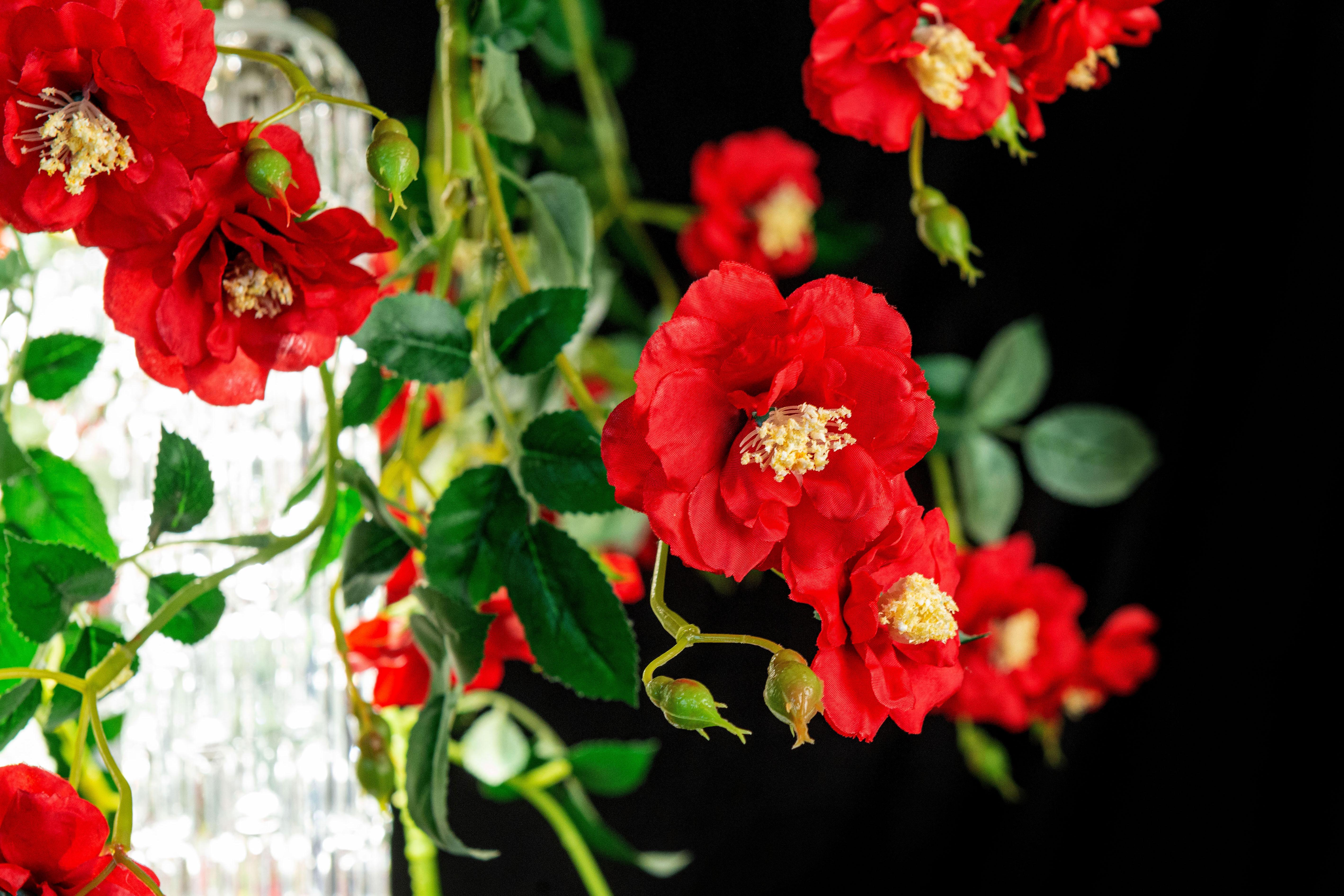 Italian Flower Power Wild Red Rose Big Round Chandelier, Venice, Italy For Sale
