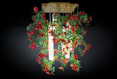 Flower Power Wild Red Rose Square Chandelier, Venice, Italy