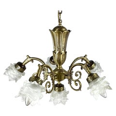 Flower-Shaped Frosted Glass Lampshades Belgian Chandelier, 1970s