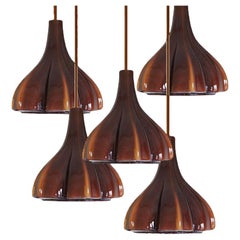 Flower shaped Opaque Brown Glass Fixtures, Europe 1970