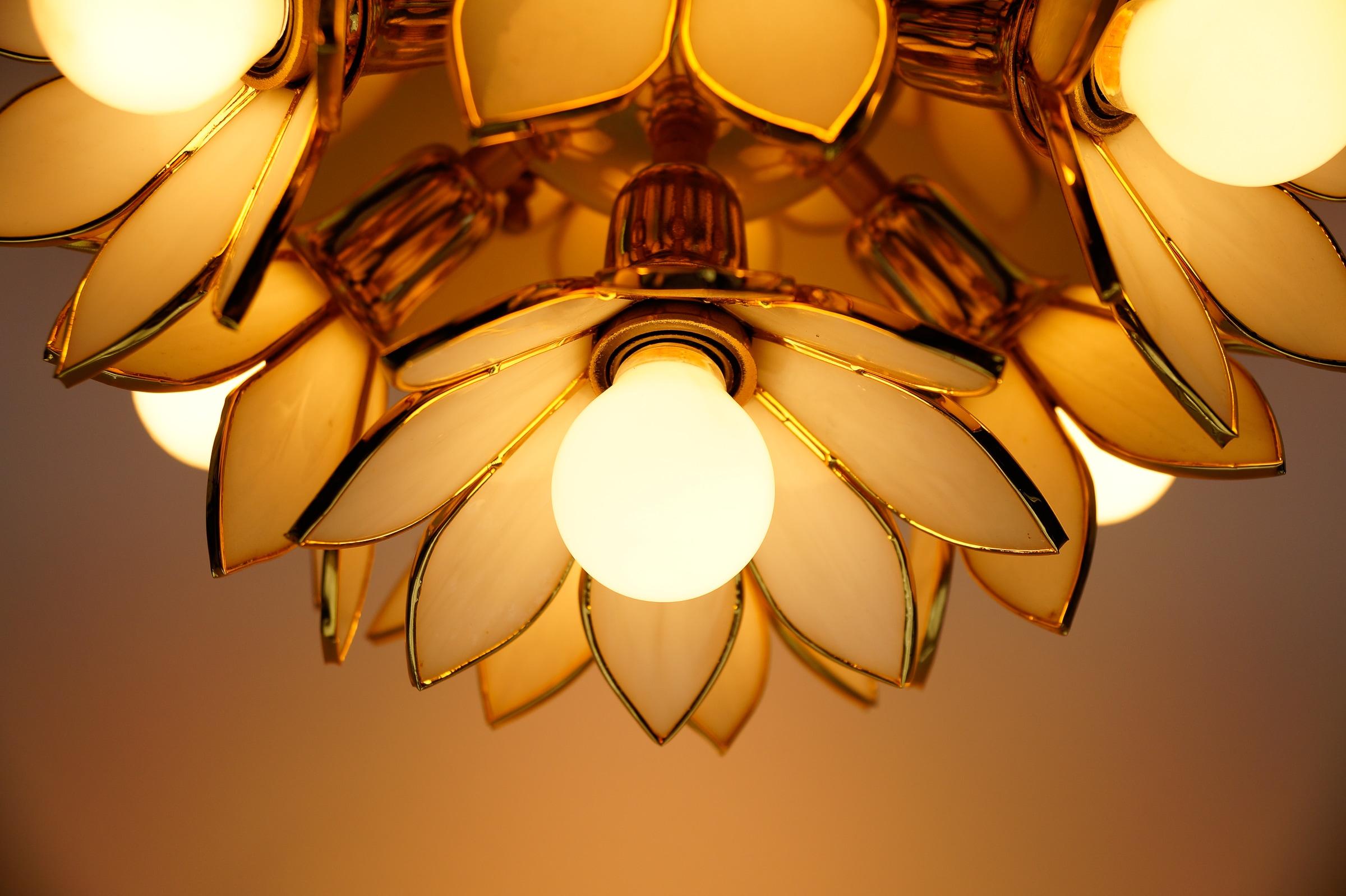 Flower Spherical Wall or Ceiling Lamps in Brass, 1960s im Angebot 6