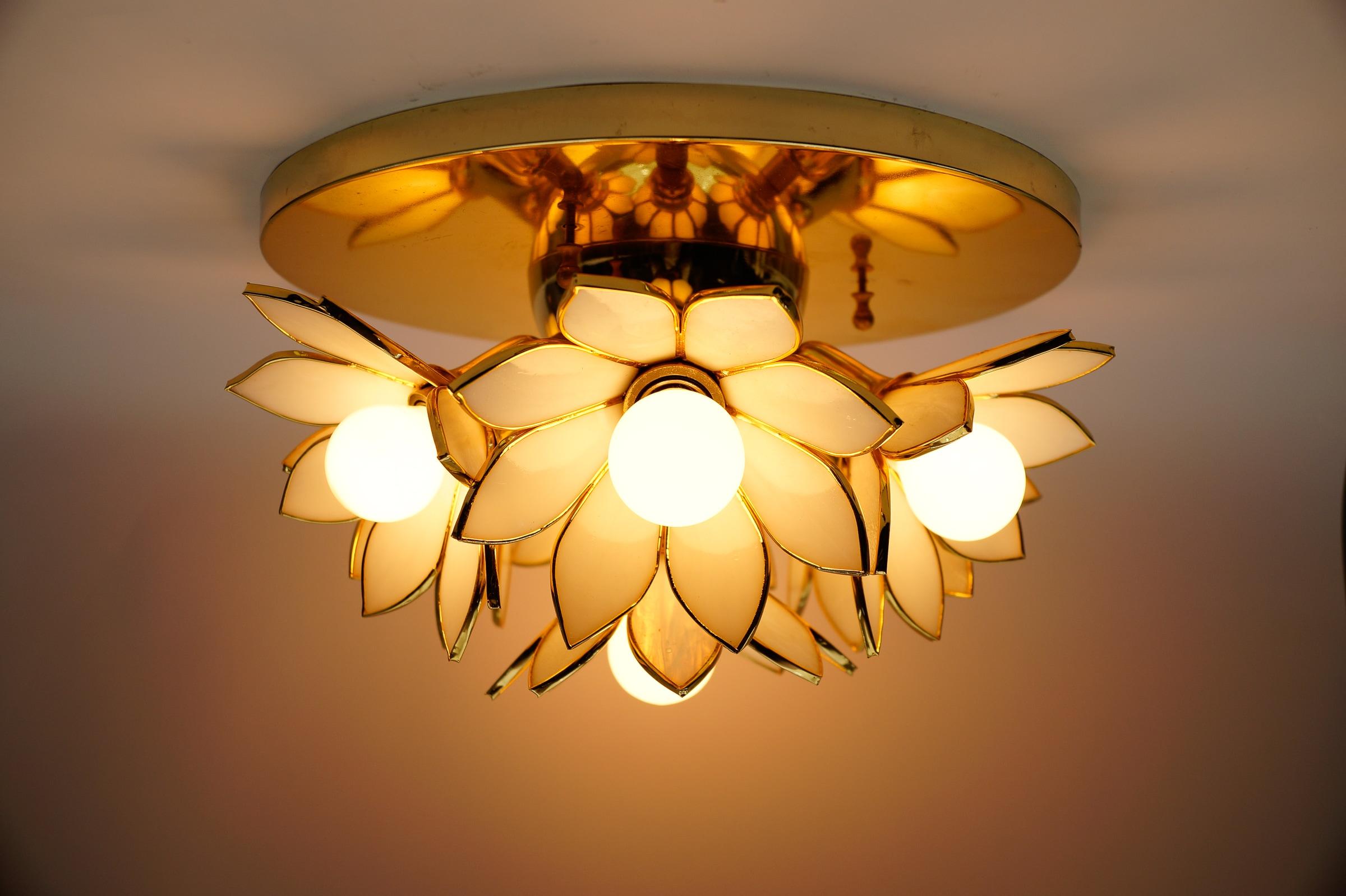Flower Spherical Wall or Ceiling Lamps in Brass, 1960s im Angebot 7