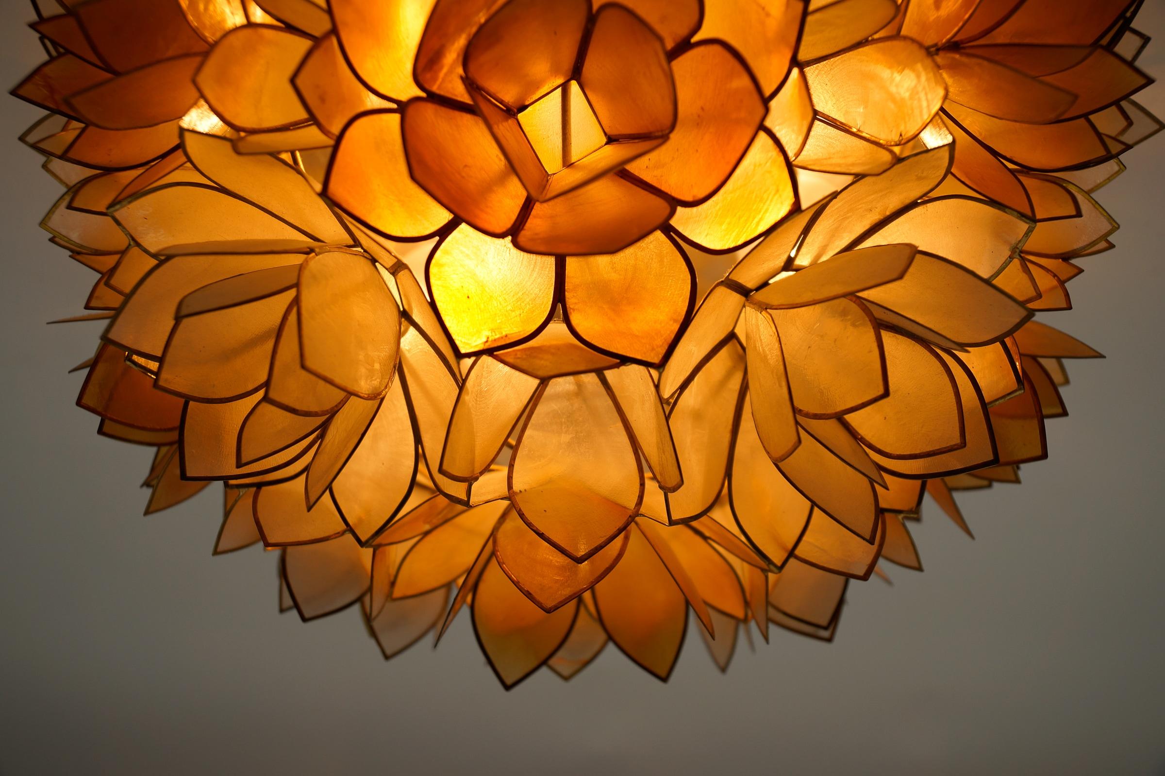 Flower Spherical Wall or Ceiling Lamps Made of Mother-of-Pearl in Orange, 1960s For Sale 3