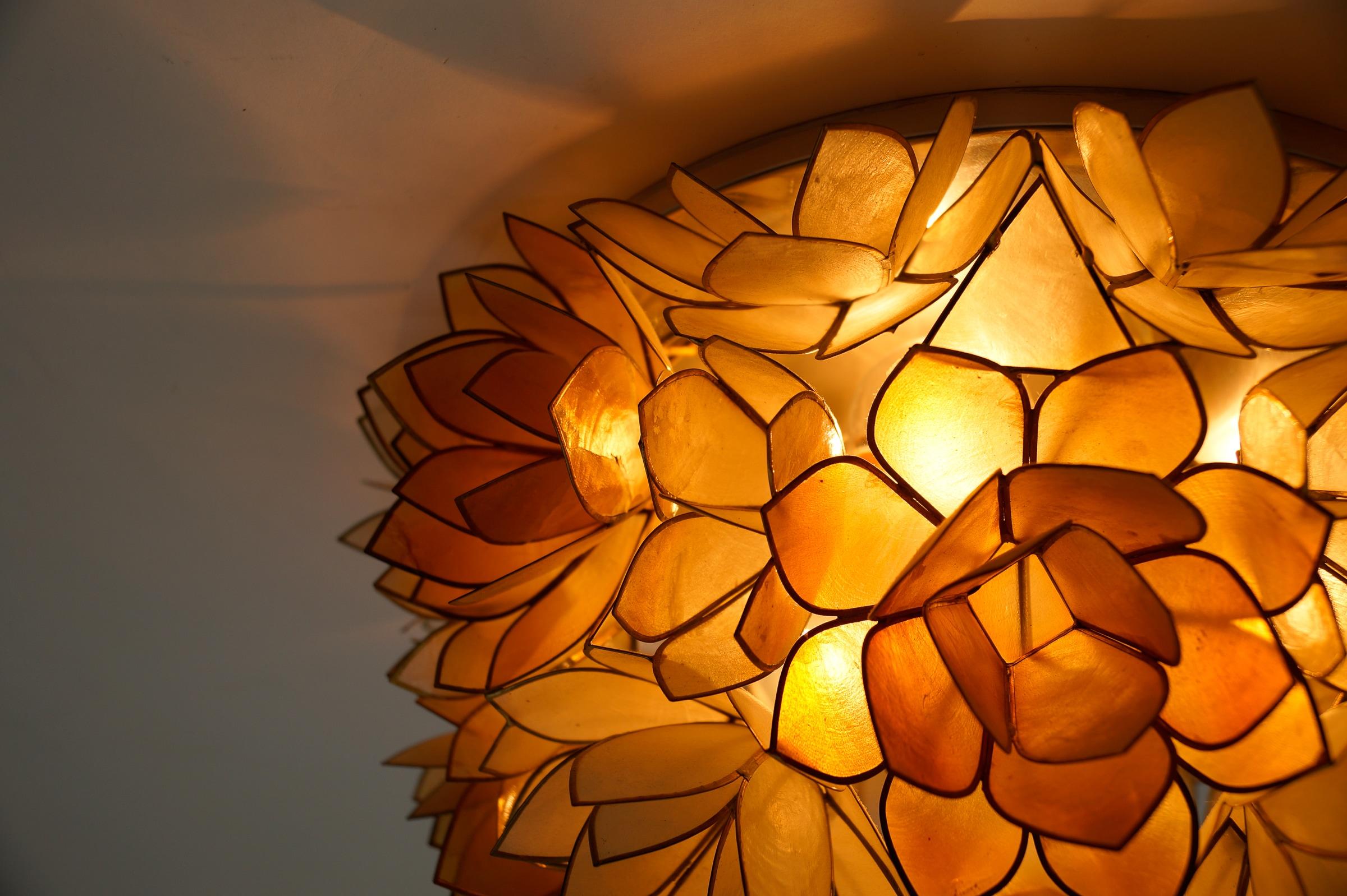 Flower Spherical Wall or Ceiling Lamps Made of Mother-of-Pearl in Orange, 1960s For Sale 4
