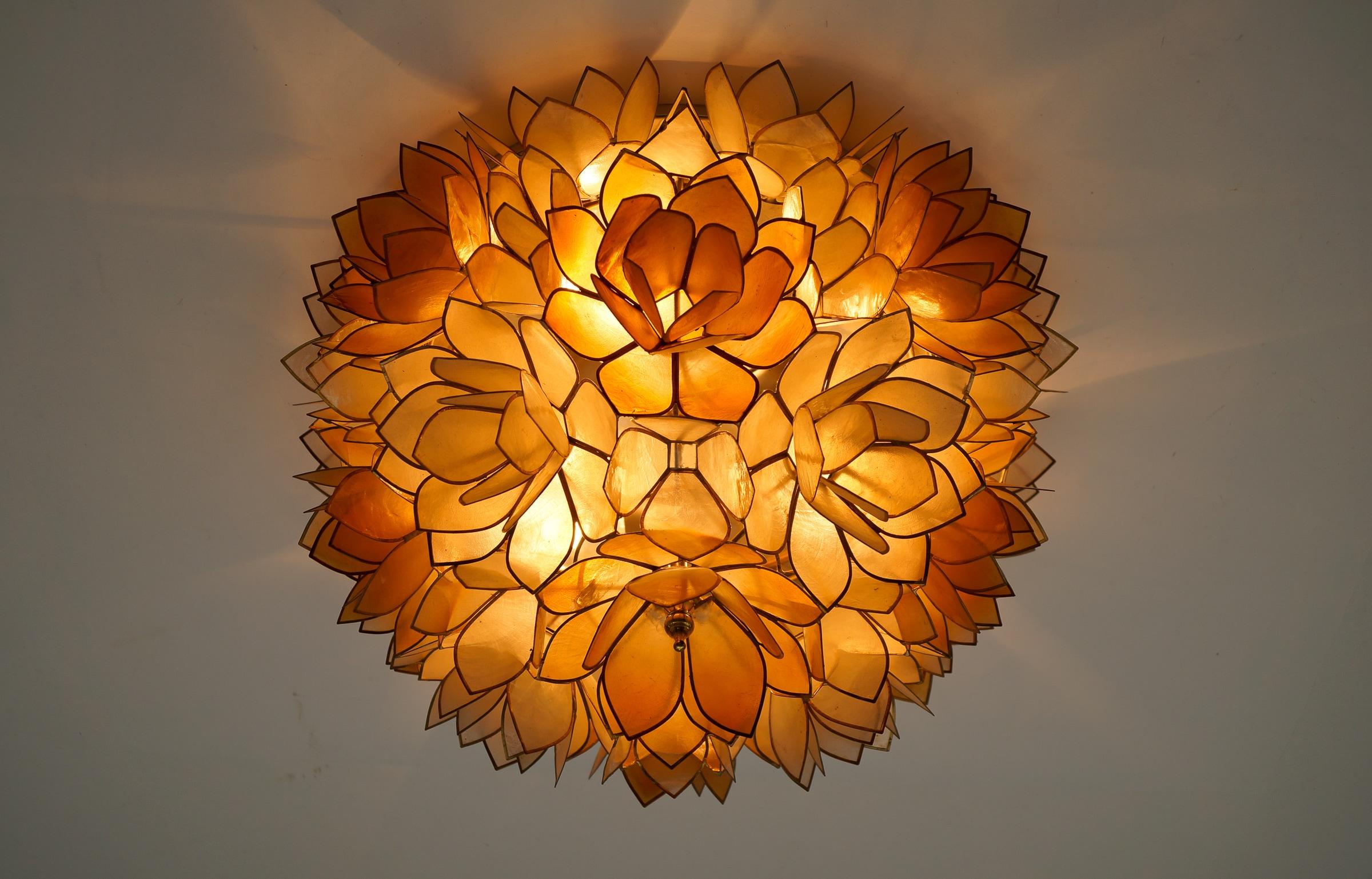 Flower Spherical Wall or Ceiling Lamps Made of Mother-of-Pearl in Orange, 1960s For Sale 1