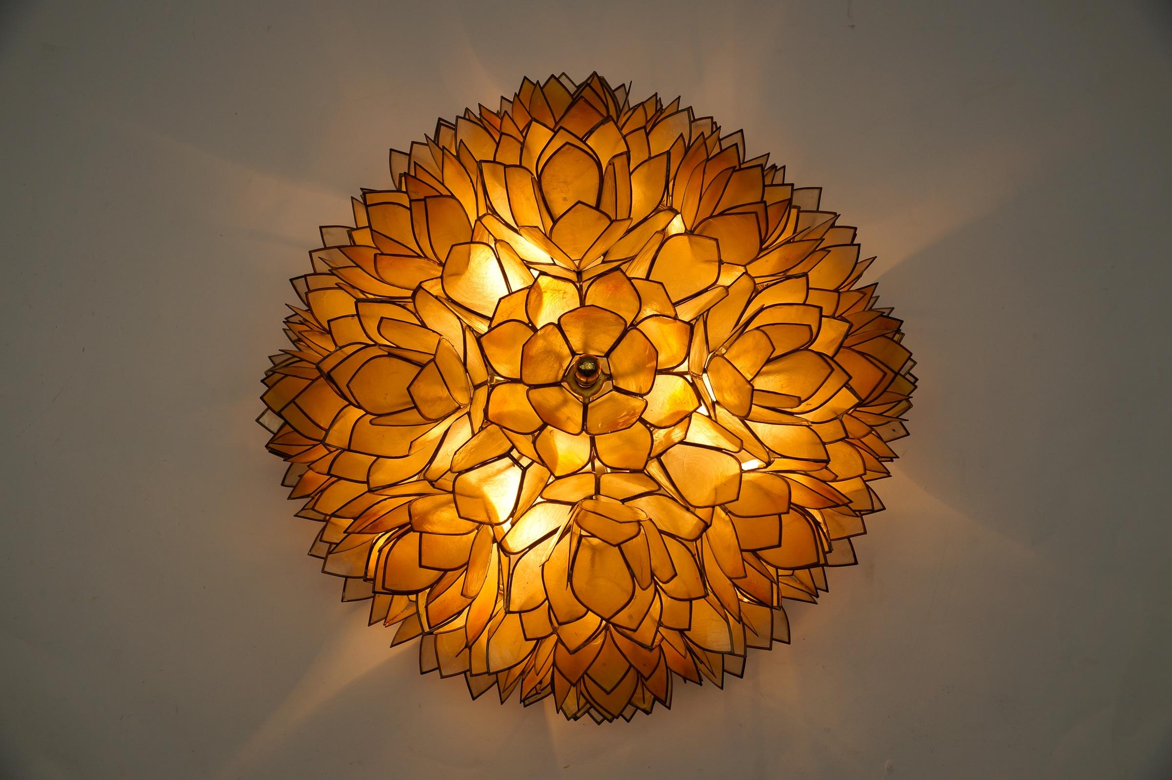 Flower Spherical Wall or Ceiling Lamps Made of Mother-of-Pearl in Yellow, 1960s For Sale 4