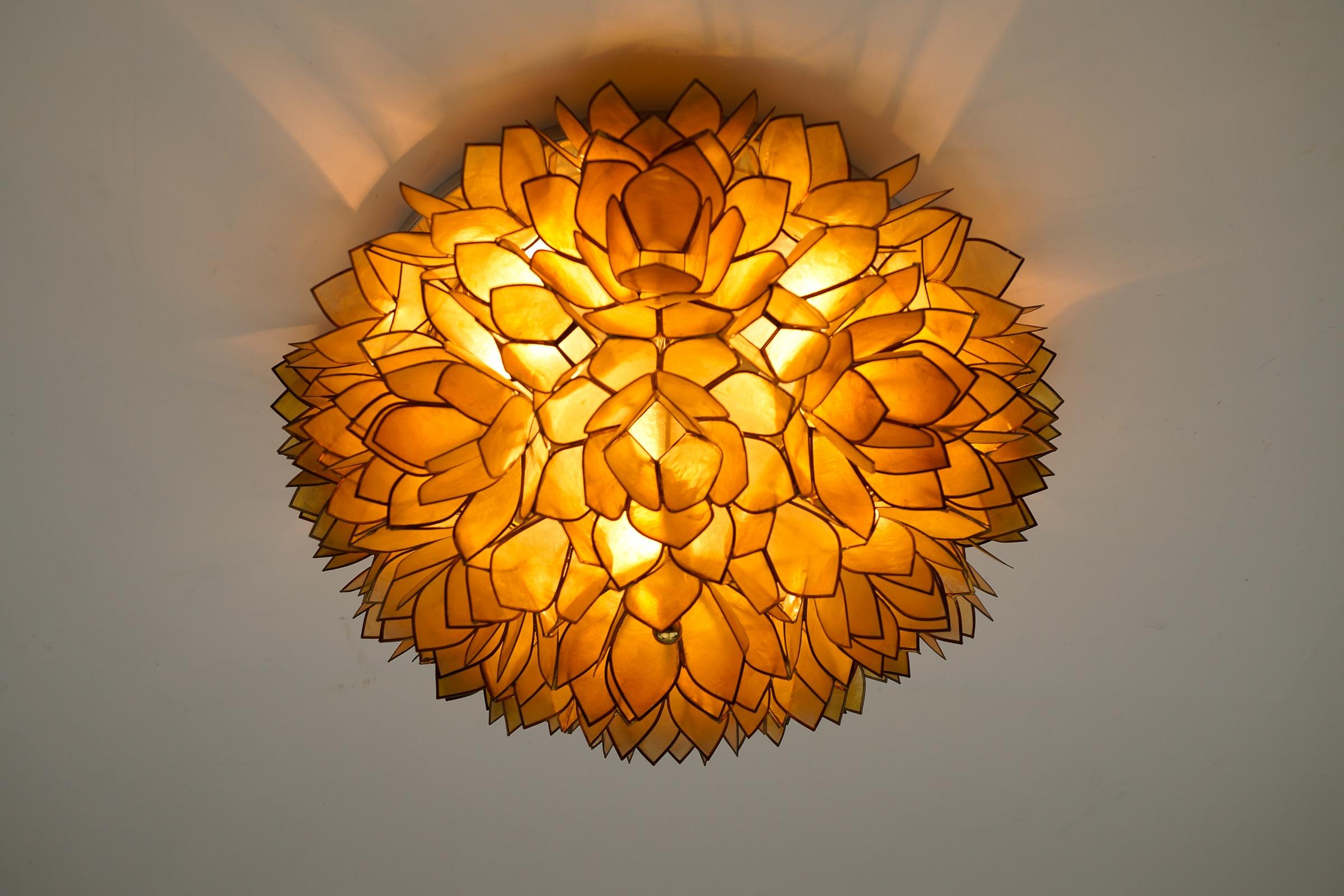 Flower Spherical Wall or Ceiling Lamps Made of Mother-of-Pearl in Yellow, 1960s For Sale 1