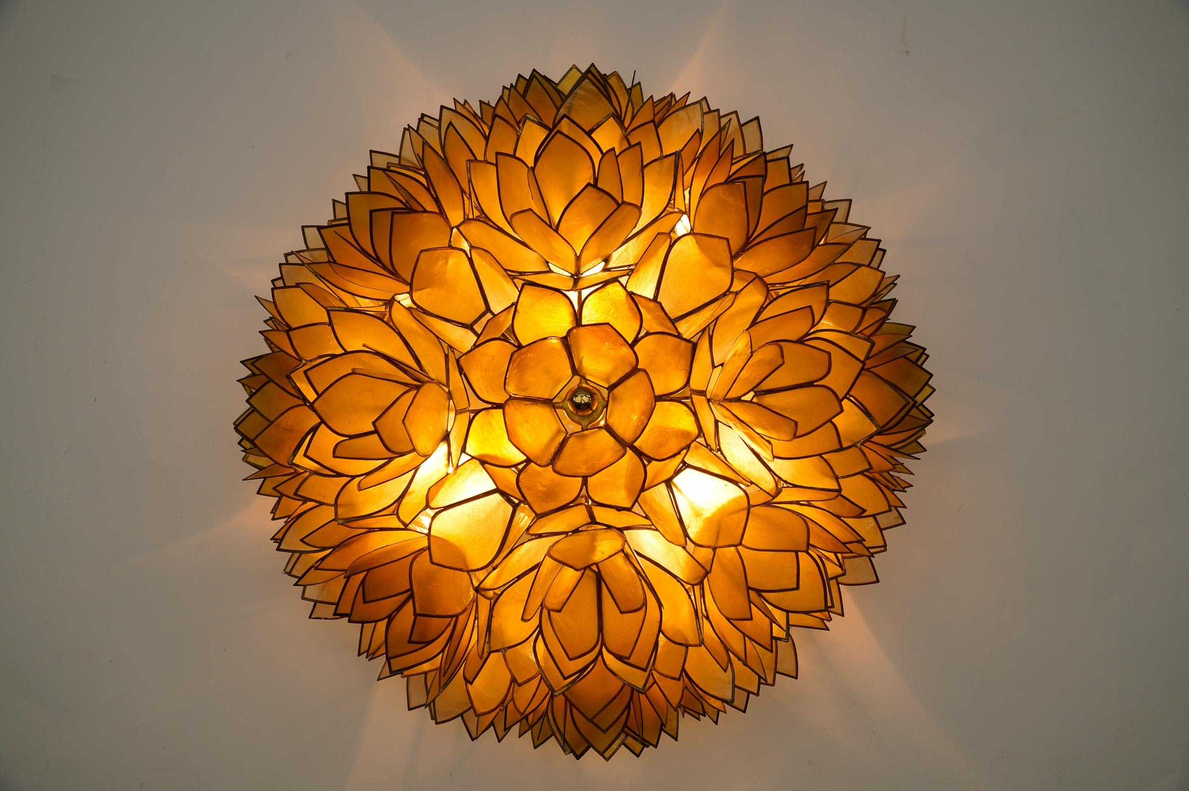 Flower Spherical Wall or Ceiling Lamps Made of Mother-of-Pearl in Yellow, 1960s For Sale 2