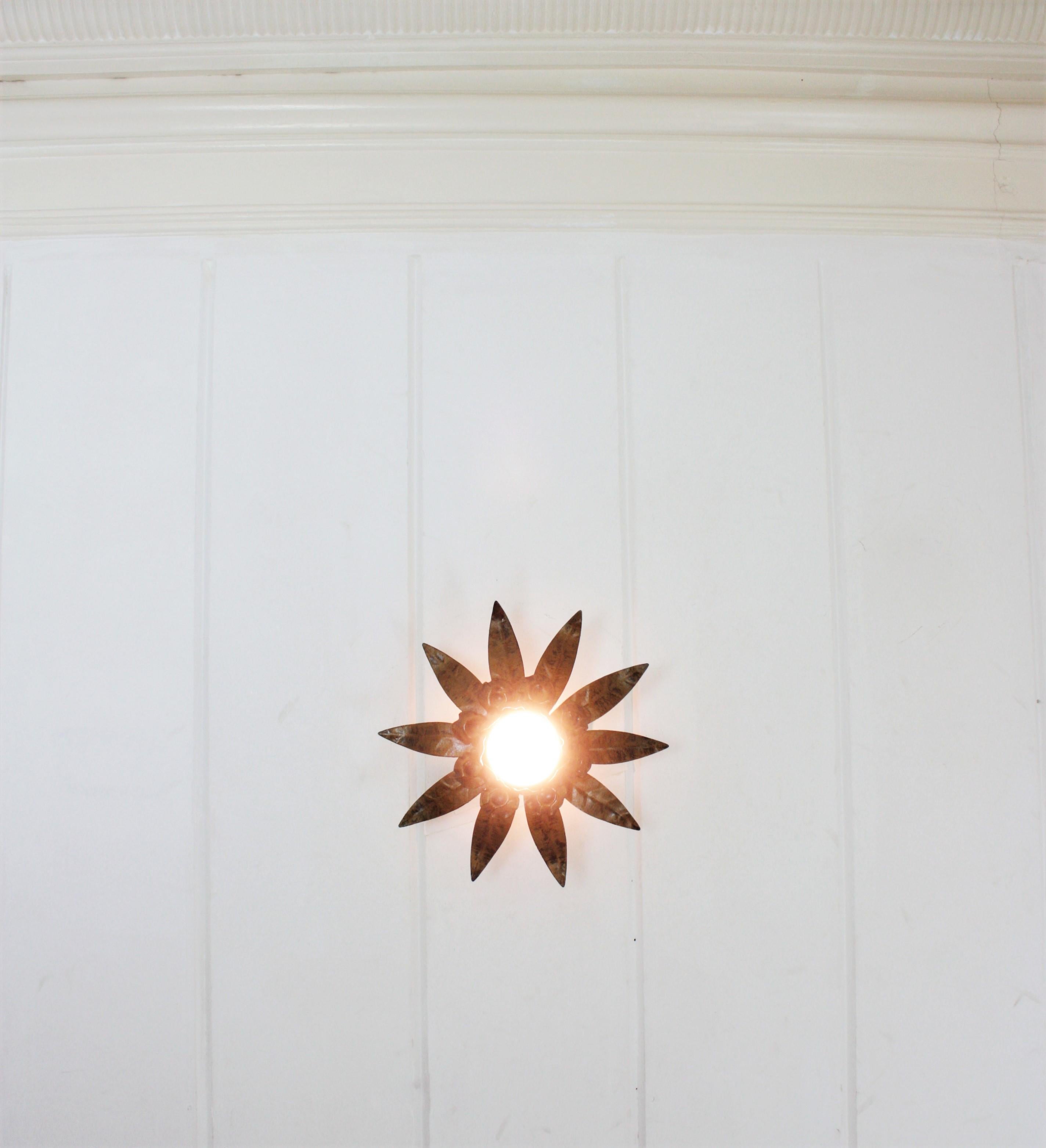 Sunburst Flower Light Fixture in Gilt Bronze Patinated Metal 11