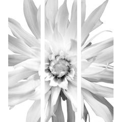 Flower Triptych Print