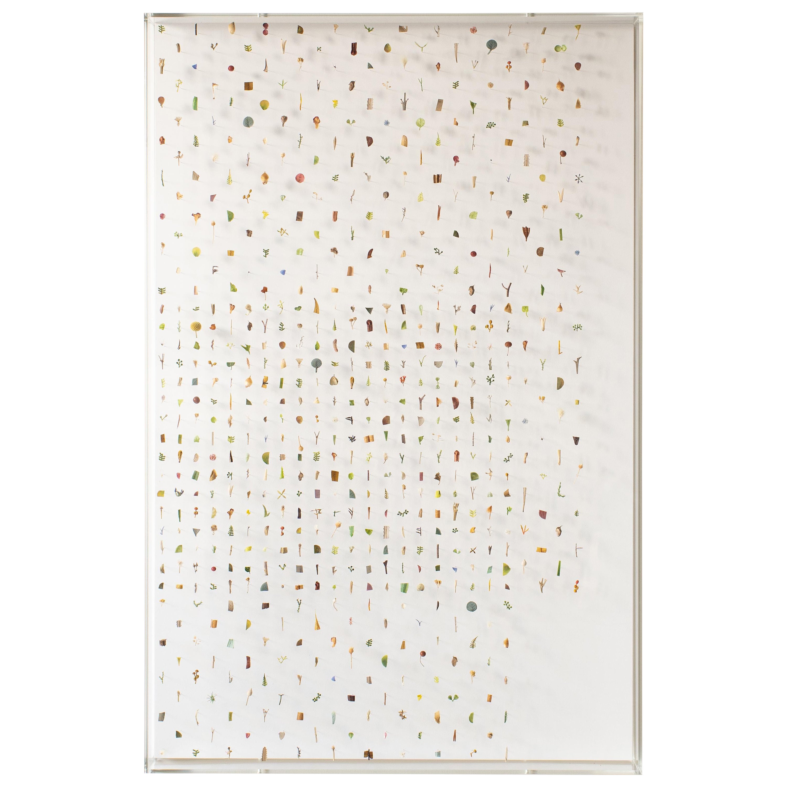Norihiko Terayama, Blumen-Wandkunst Norihiko  A2