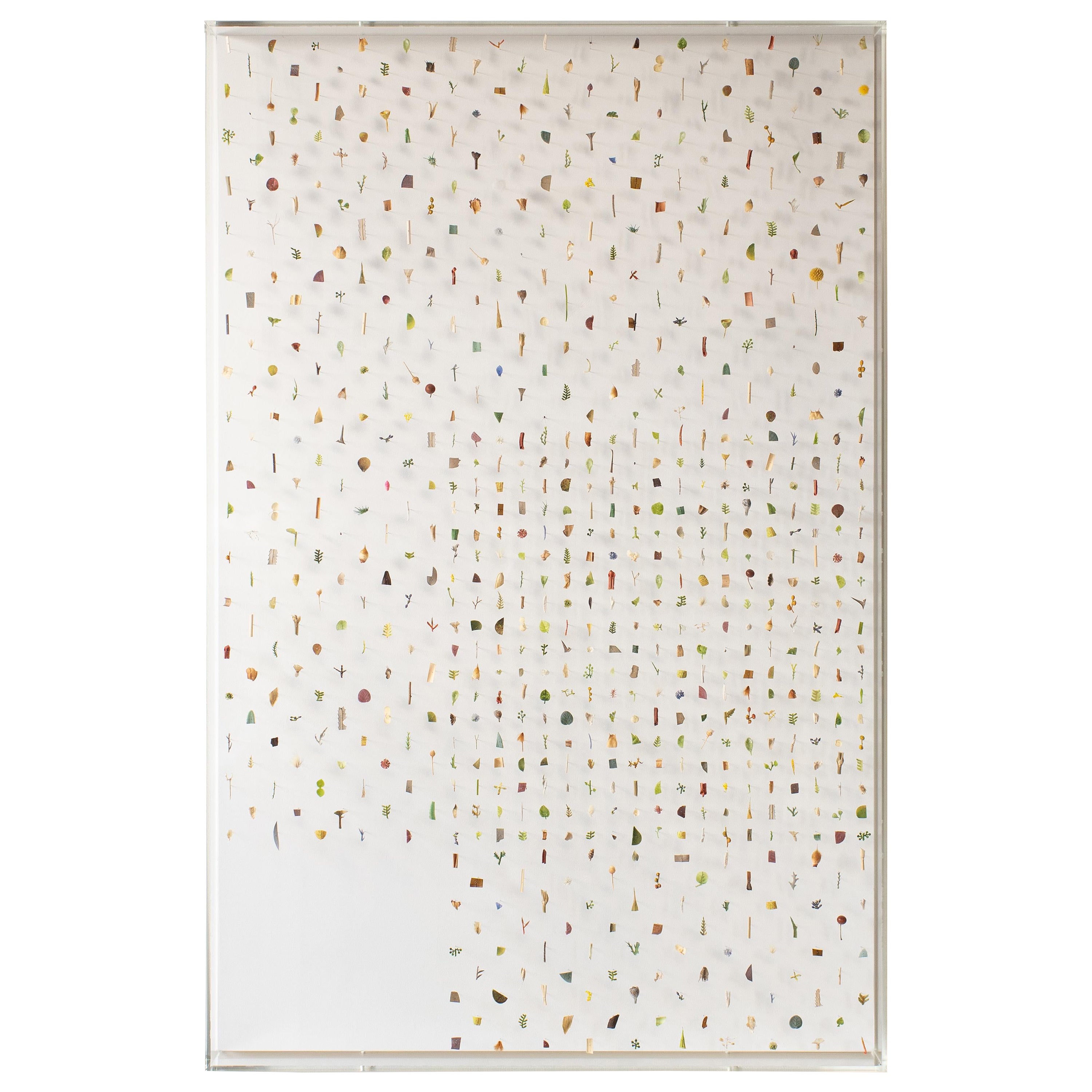 Norihiko Terayama, Blumen-Wandkunst Norihiko  A3