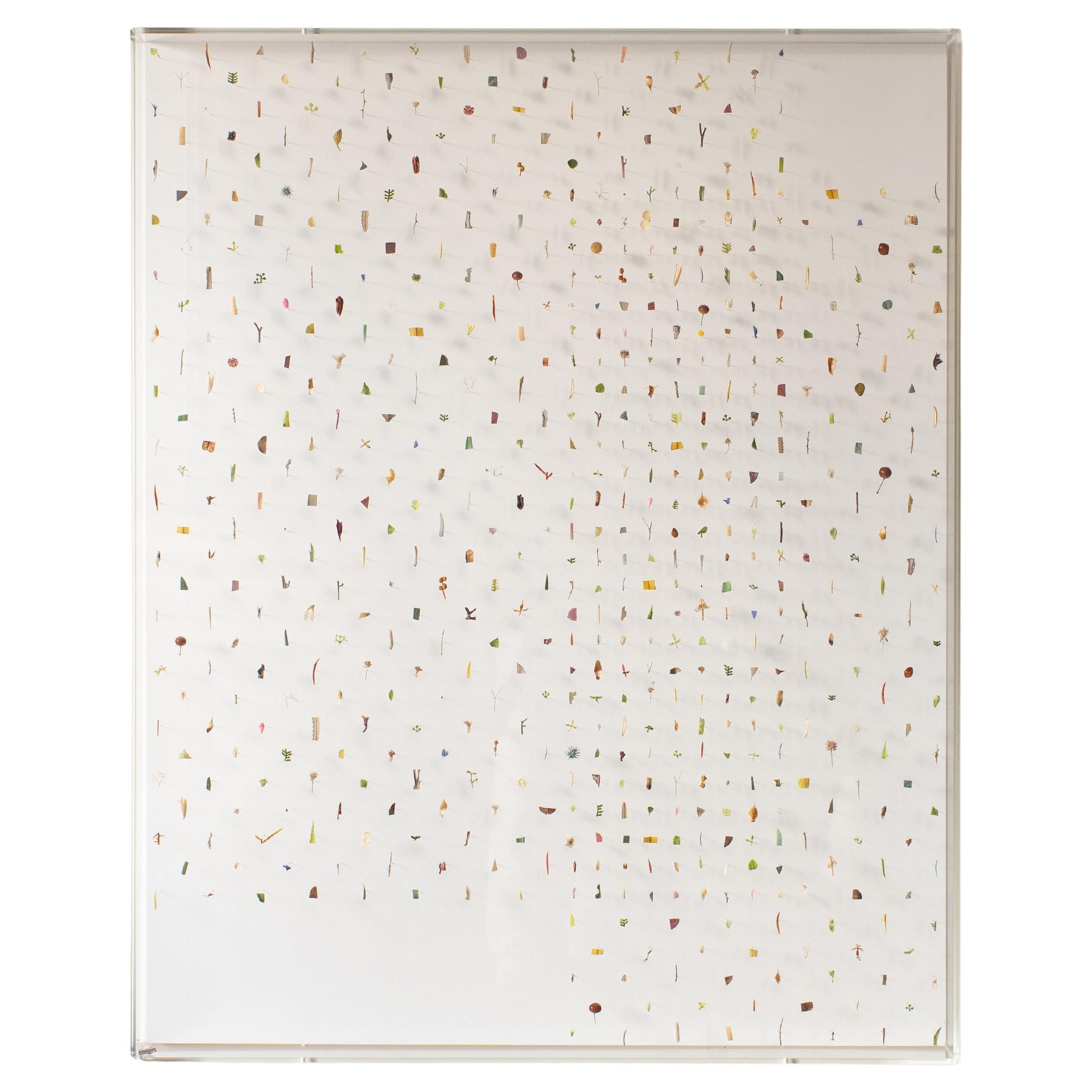 Norihiko Terayama, Blumen-Wandkunst Norihiko  B1