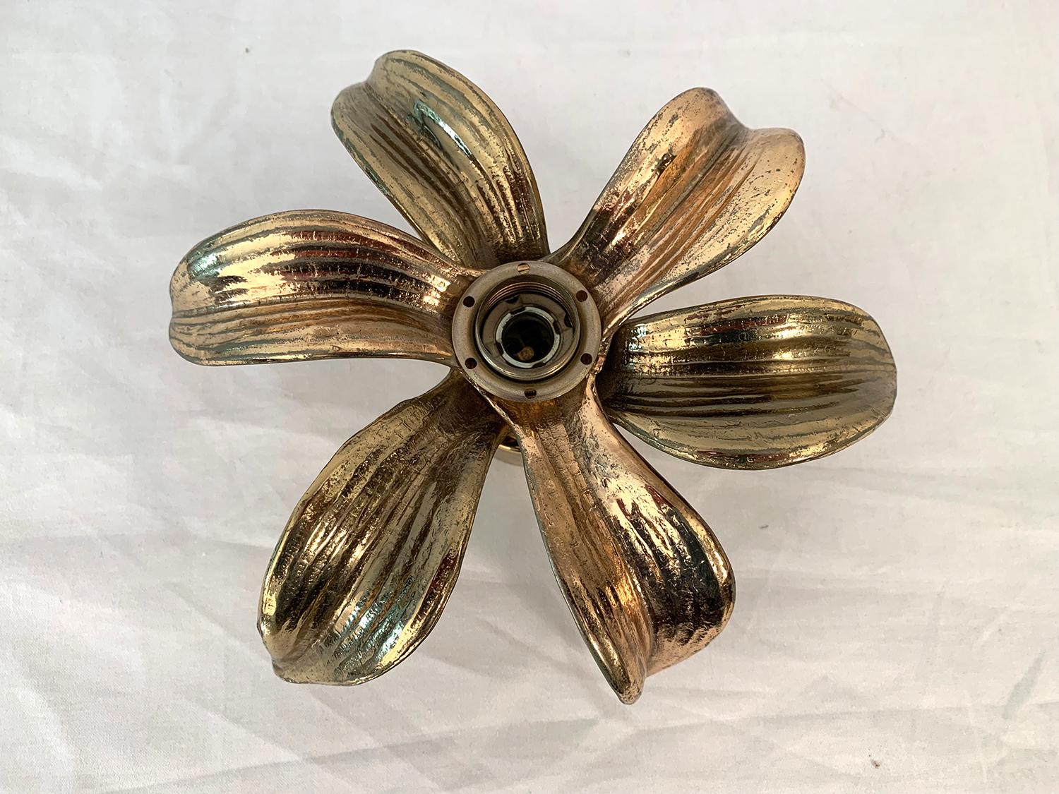 Belgian Flower Wall Sconce by Willy Daro, 1970s For Sale