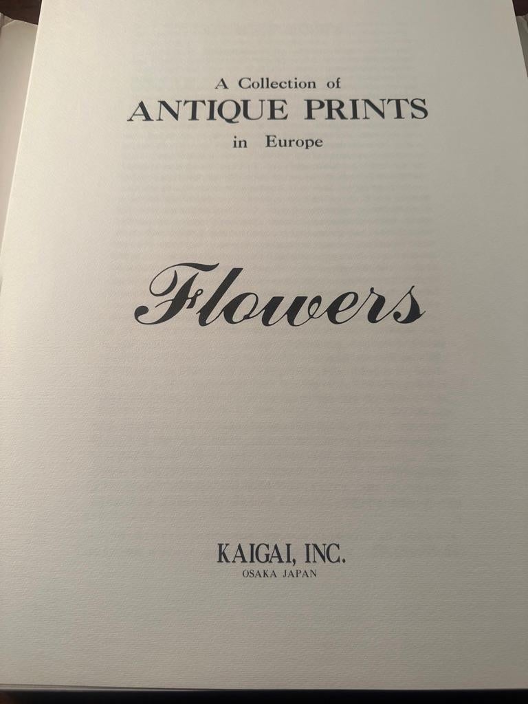 Flowers Flowers