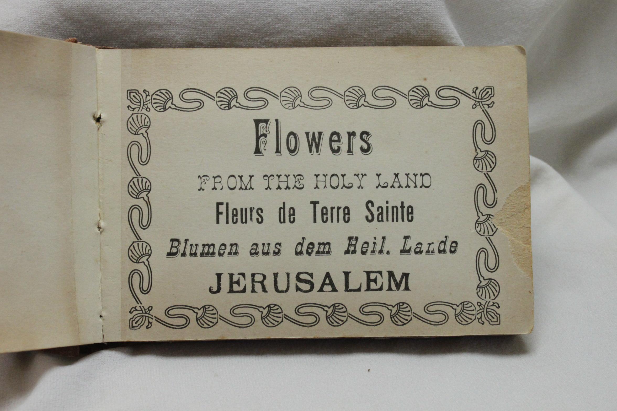 Israeli Flowers from The Holy Land souvenir book For Sale
