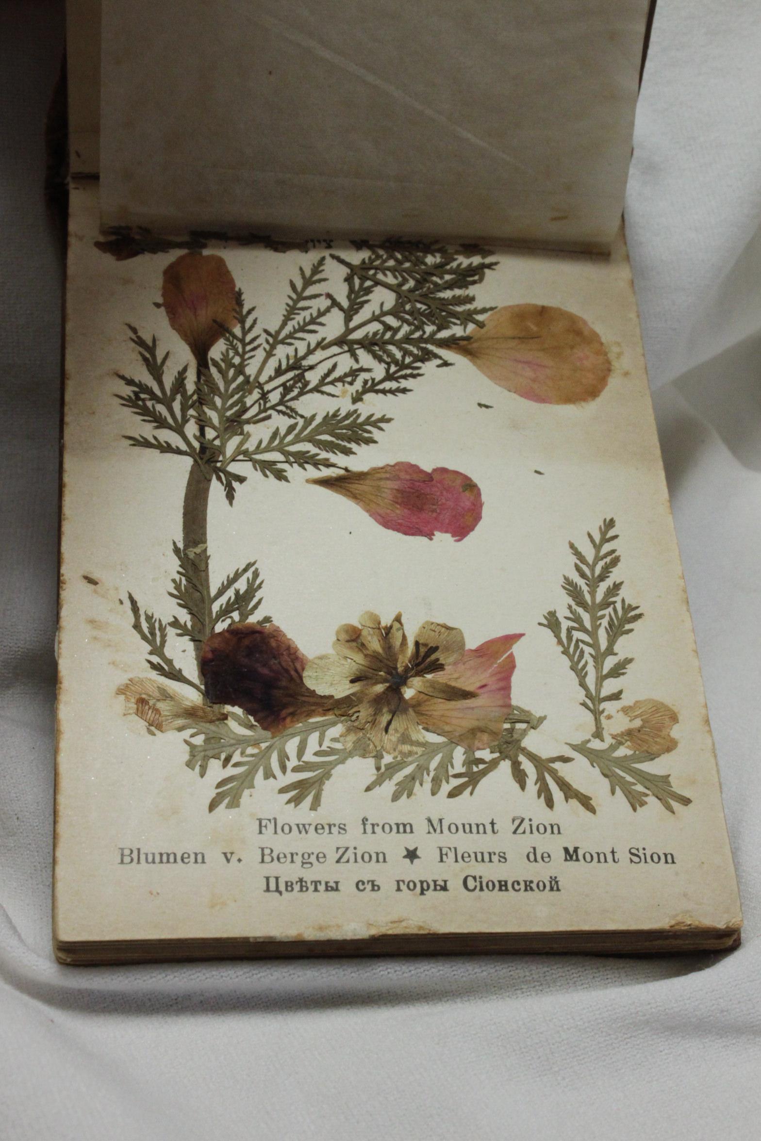 Late 19th Century Flowers from The Holy Land souvenir book For Sale