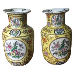 Flowers Hand-Painted Pair of Chinese Porcelain Vase
