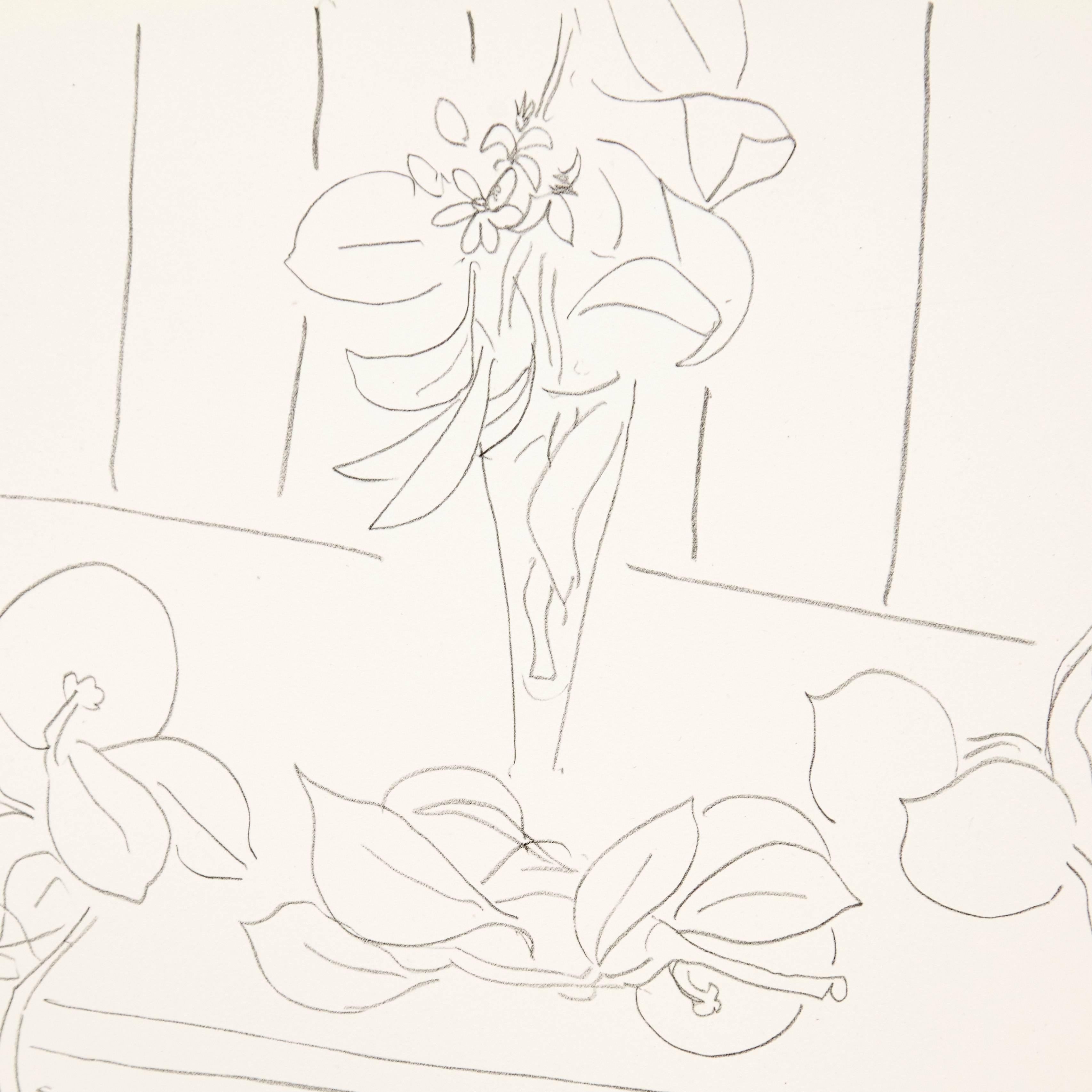 matisse flower drawing