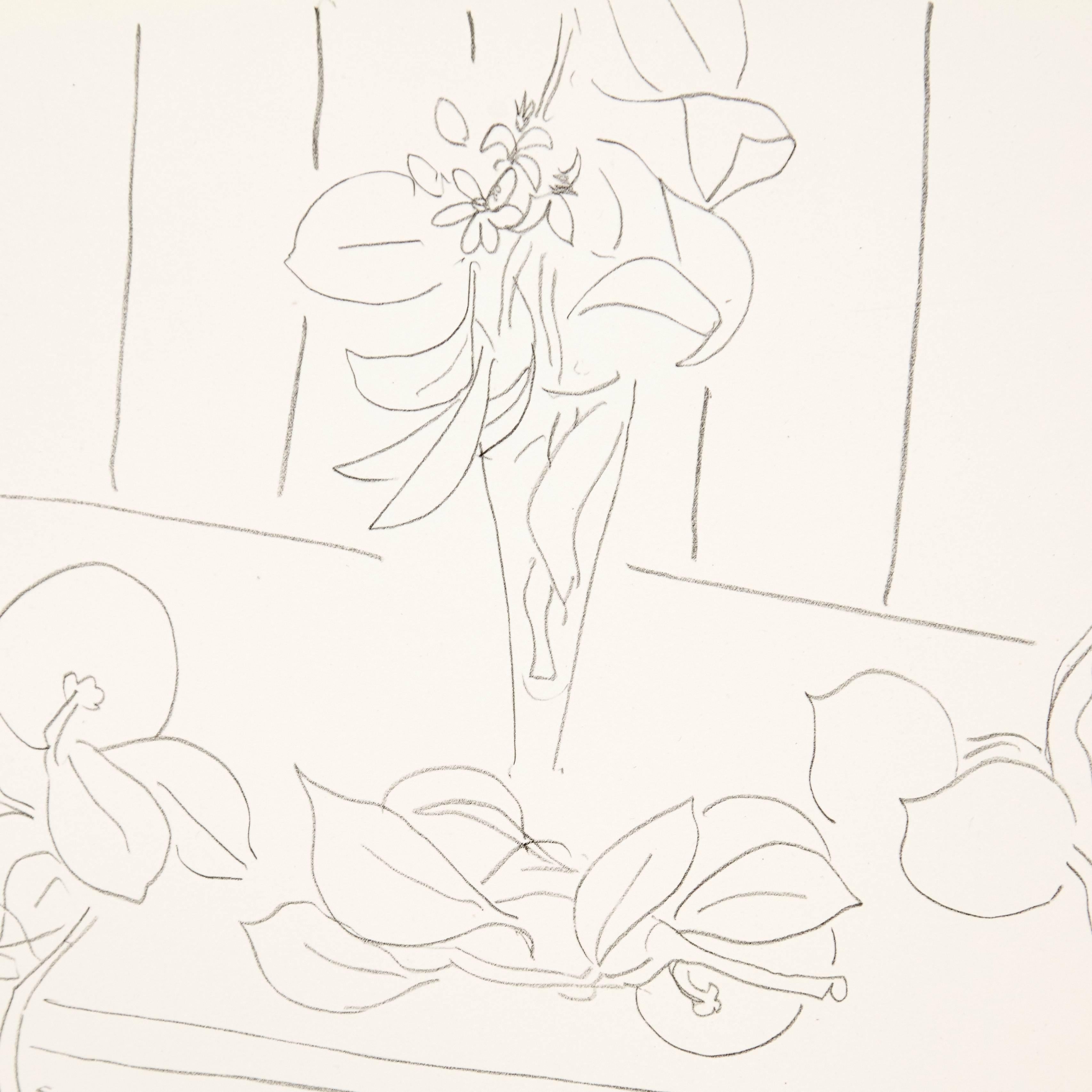Mid-Century Modern Flowers Lithograph in Paper after Original Matisse Drawing