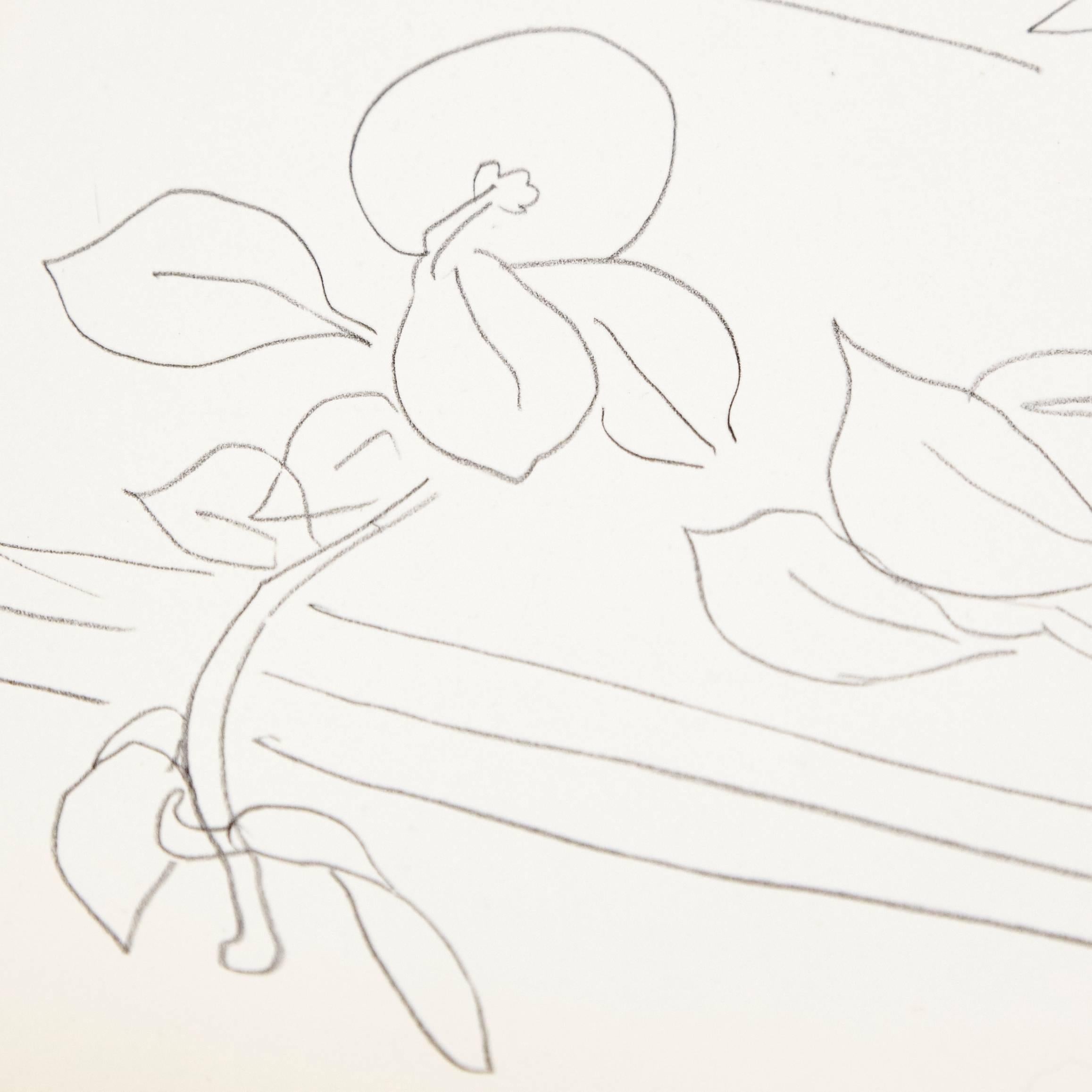 Mid-Century Modern Flowers Lithograph in Paper after Original Matisse Drawing