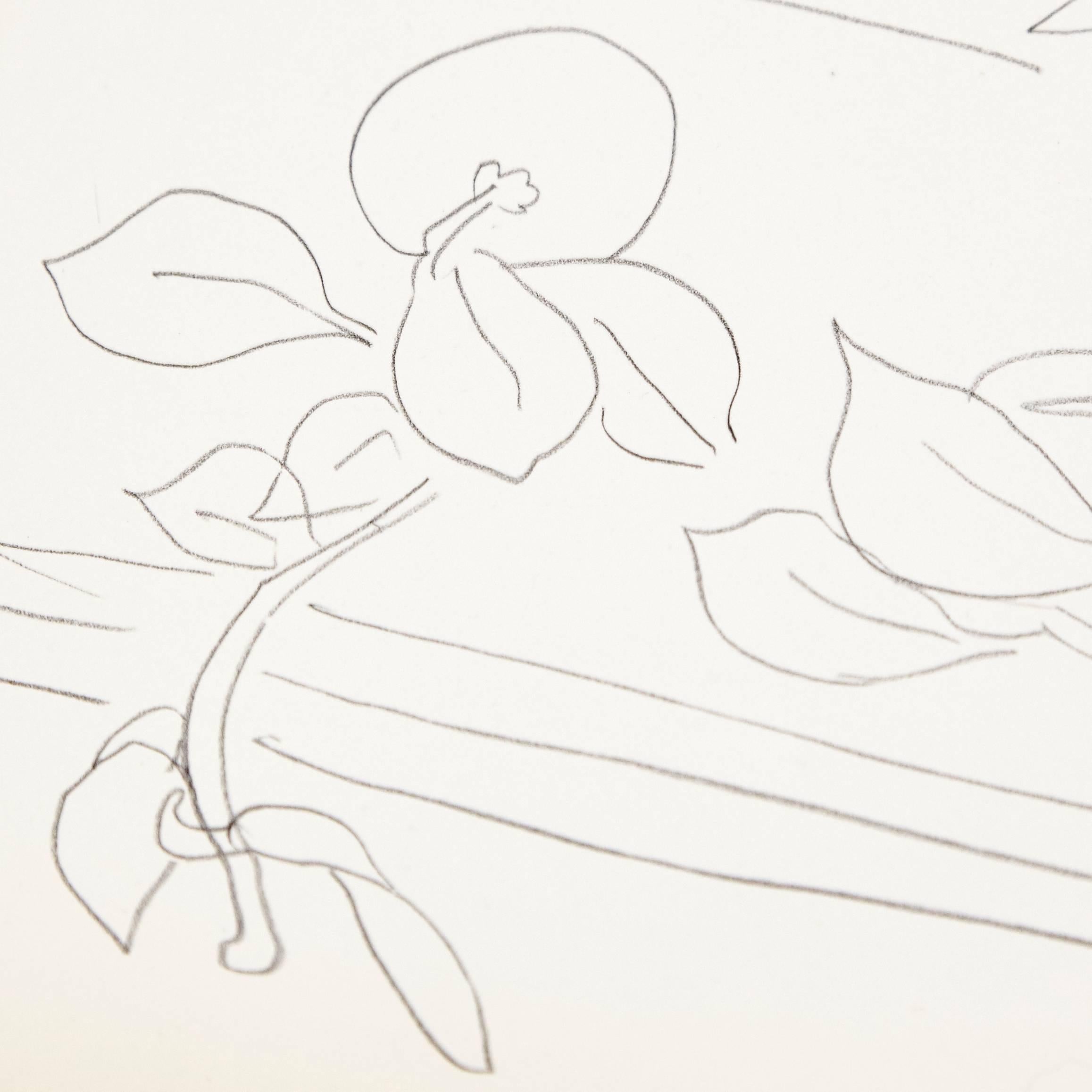 French Flowers Lithograph in Paper after Original Matisse Drawing