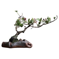 Fiori di akebia a cinque foglie di Yumiko Kuwahata / Bonsai / wabi-sabi