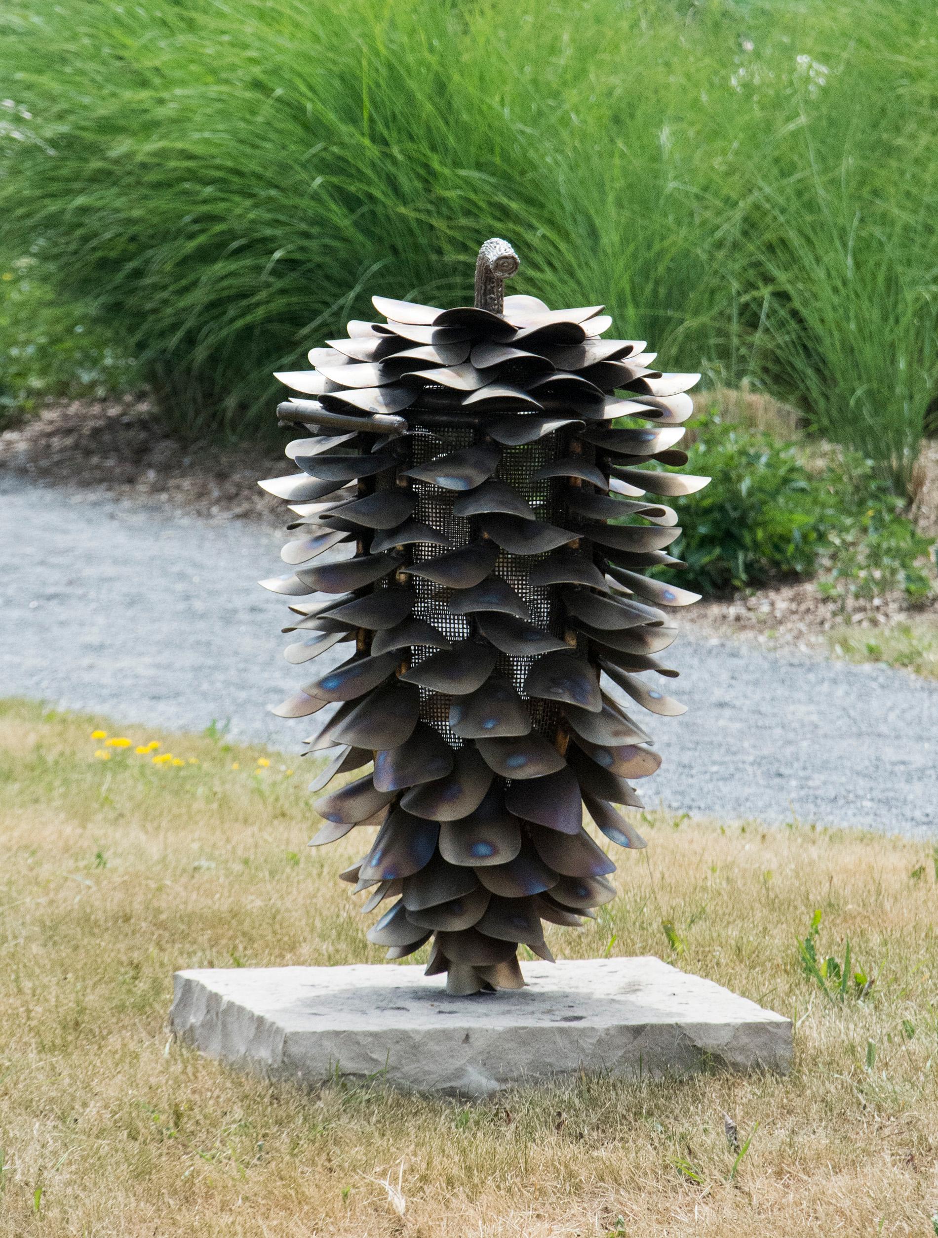 Floyd Elzinga Still-Life Sculpture - Lodgepole Fire Cone