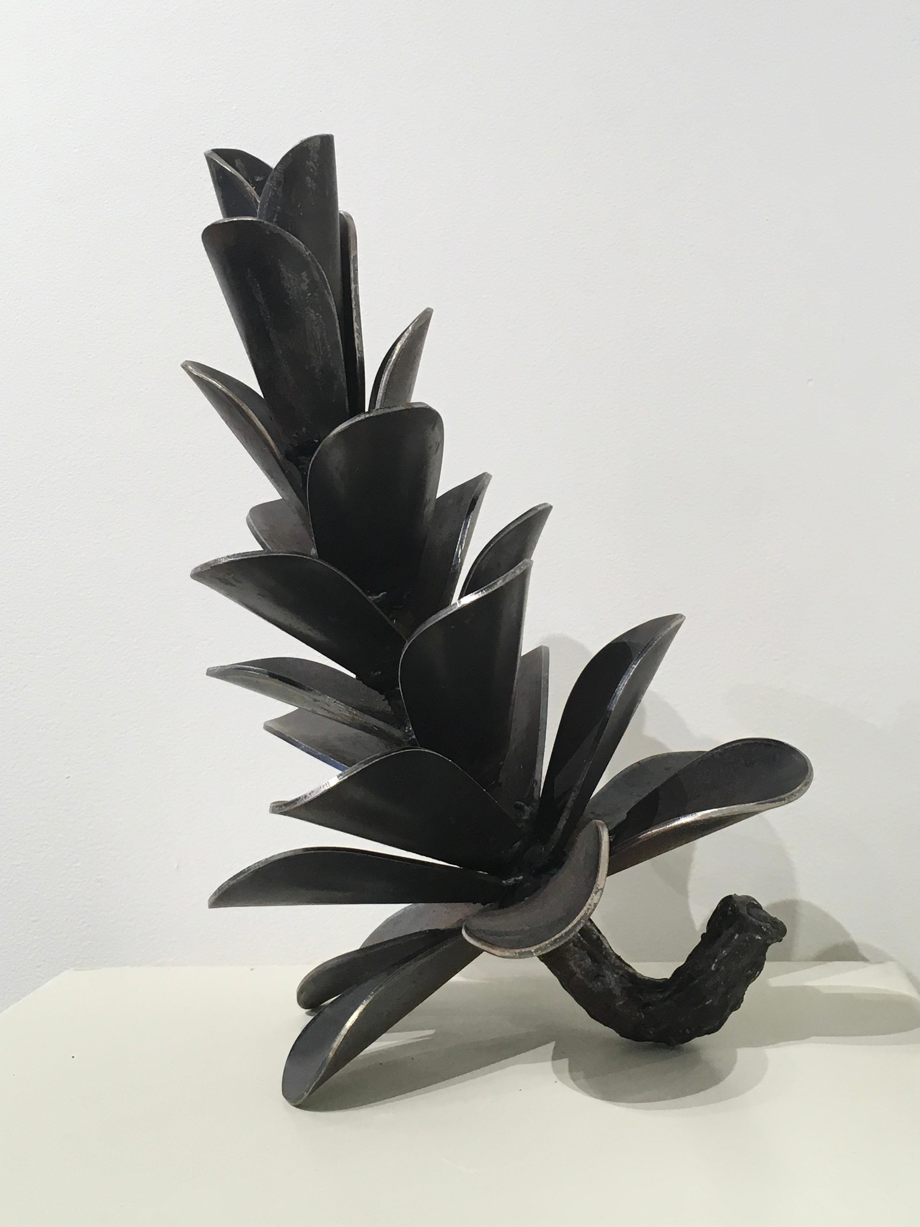 PINE CONE 18416 - Black Still-Life Sculpture by Floyd Elzinga