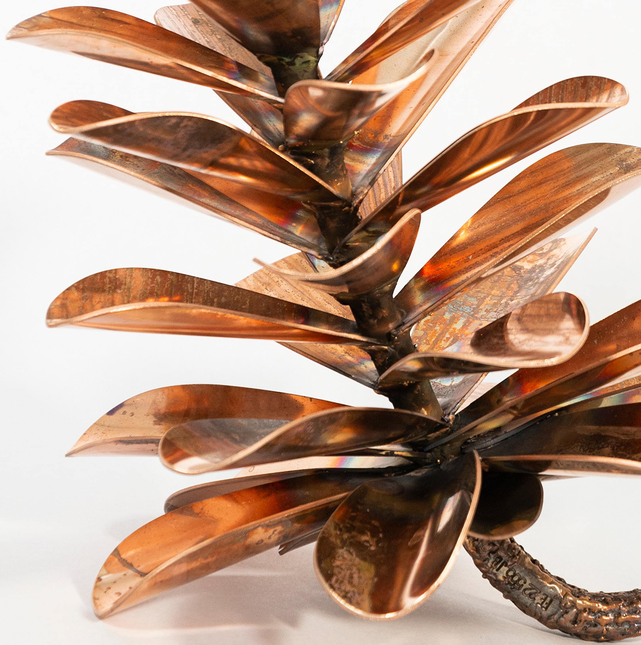 Bronze Pine Cone 22-555 - nature inspired, still life, forged bronze sculpture - Contemporary Sculpture by Floyd Elzinga