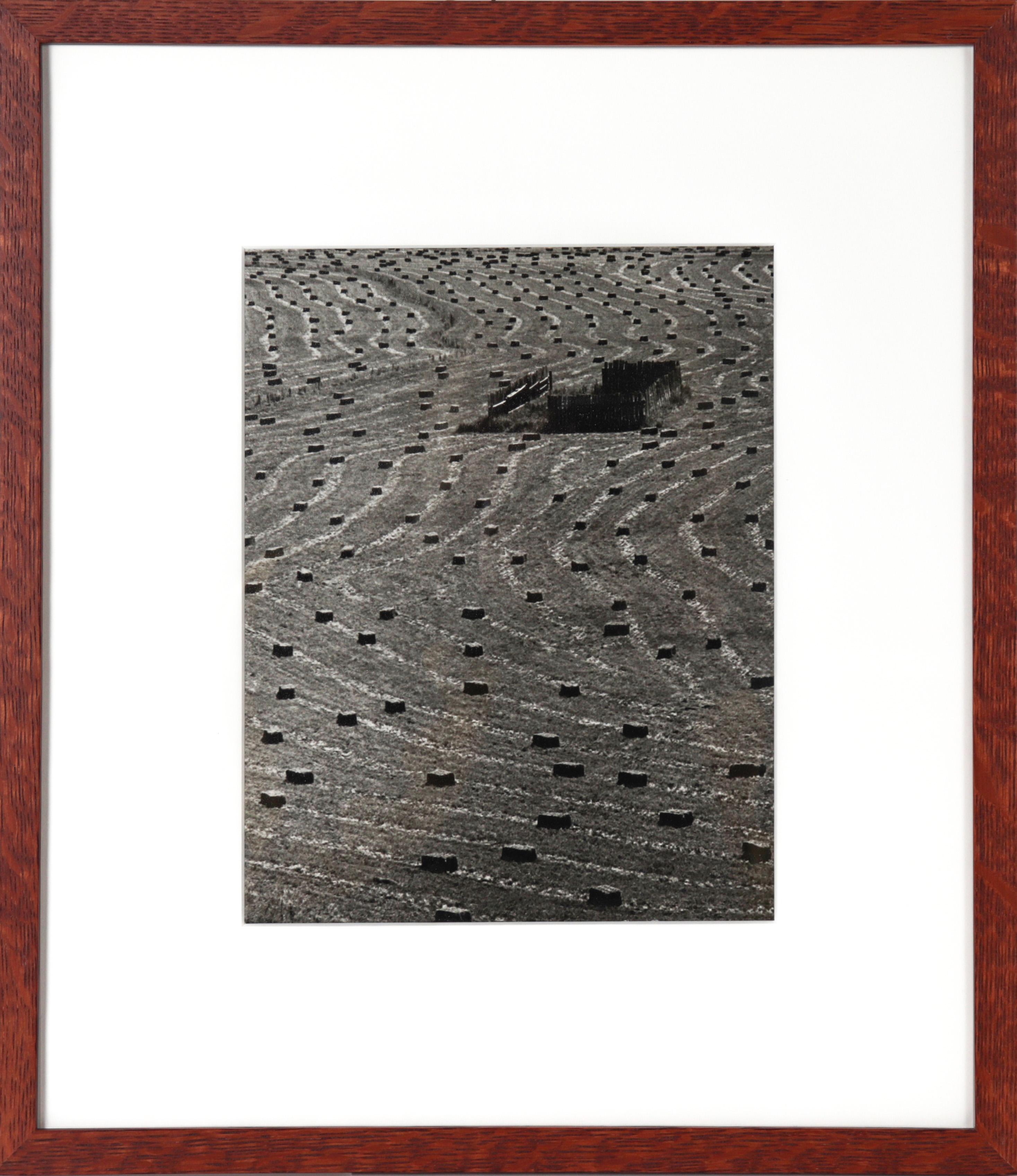 Floyd H. Sherry Landscape Photograph - Abstract Landscape View 1971 Photograph