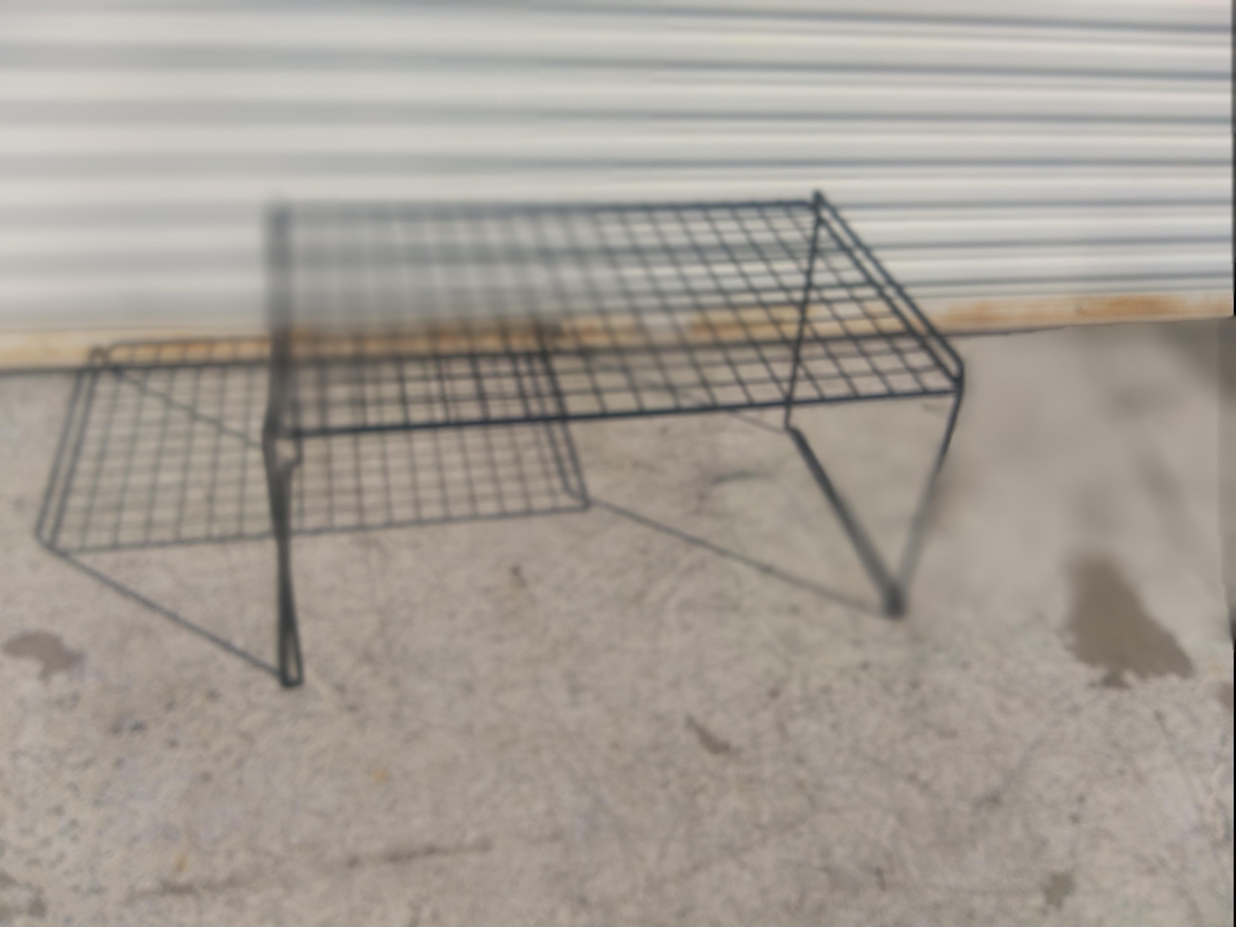 FluerTable basse de style Bertoia à Détroit en vente 1