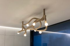 Fluid Limited Edition Blown Glass and Nylon Pendant Lamp by Hot Wire Extensions