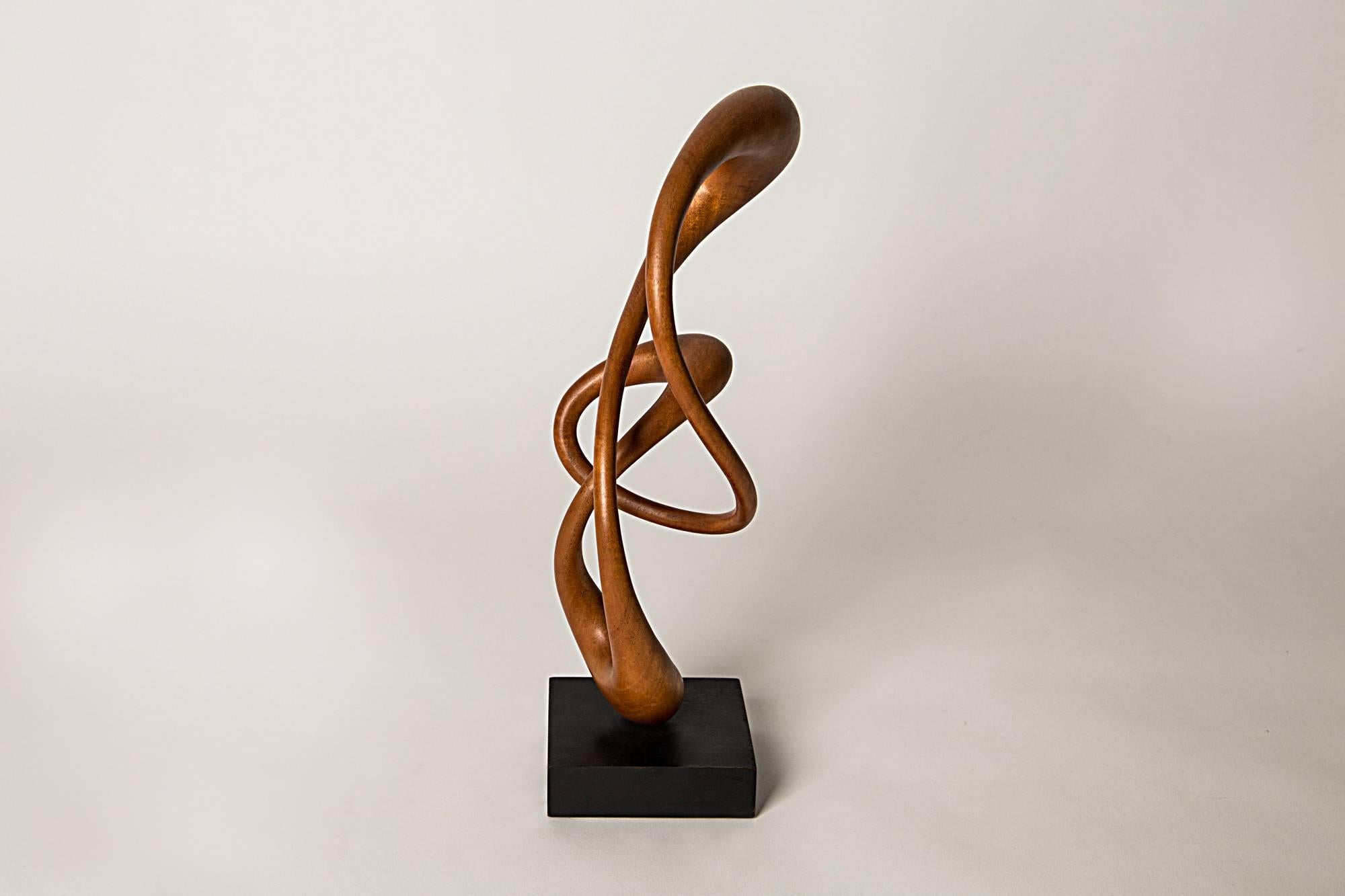 Inspired by a puff of smoke, hand-carved and sculpted from a single block of Elm.

The artist:
Born in Welwyn Garden City in 1944. Having exhibited mainly in Britain and a member of the exhilarating Hertfordshire Visual Art Form, sculpting for
