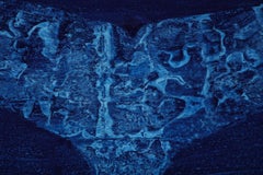 "Fluke" Indigo Stencil Original Artwork