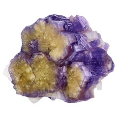 Fluorapatite (bicolore) avec Cléavelandite, Afghanistan