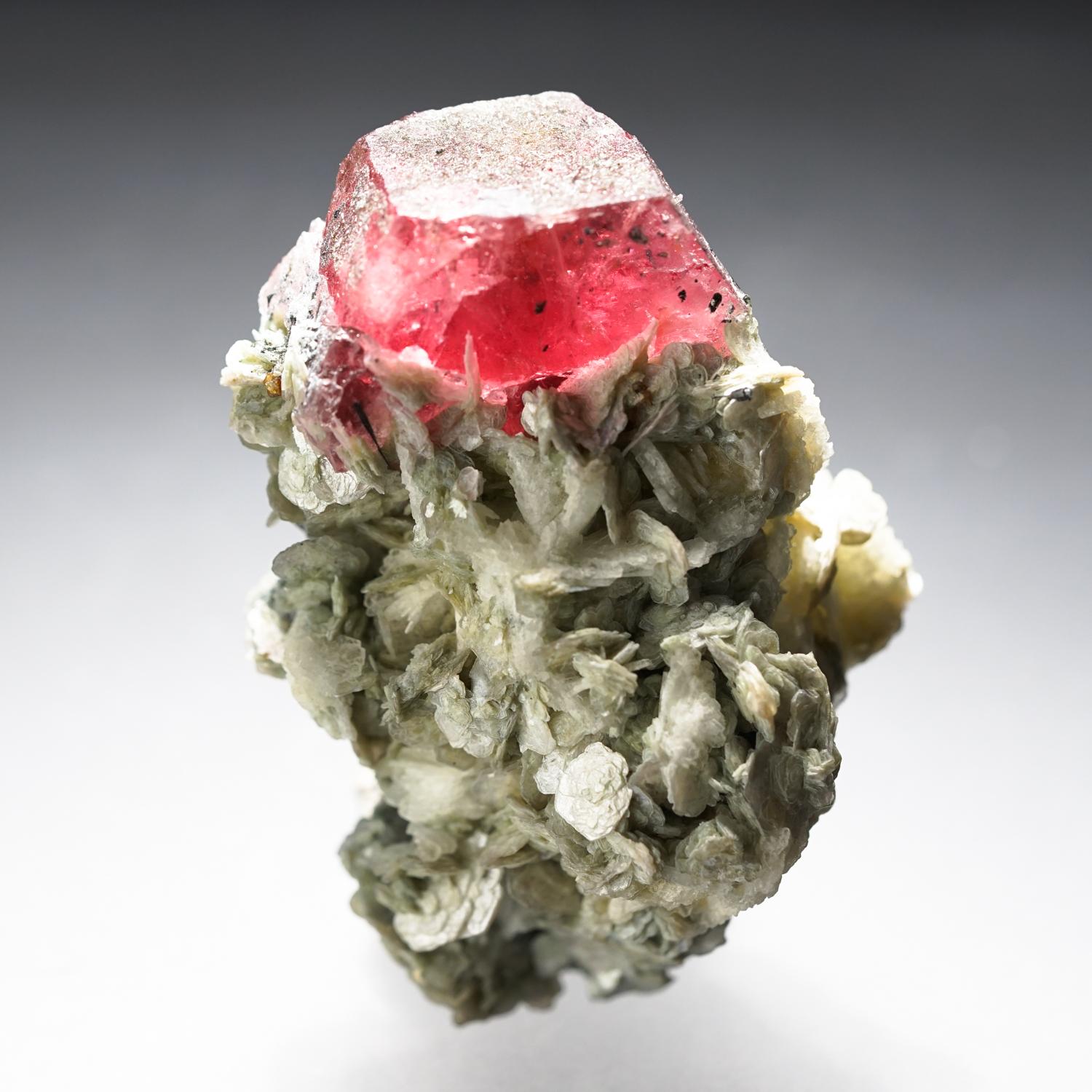 From Hunza Valley, Gilgit-Baltistan, Pakistan.

Transparent to translucent deep pink hexagonal fluorapatite crystal on an intergrown cluster of muscovite. The fluorapatite crystas has lustrous modified basal pinacoid faces and glassy prism