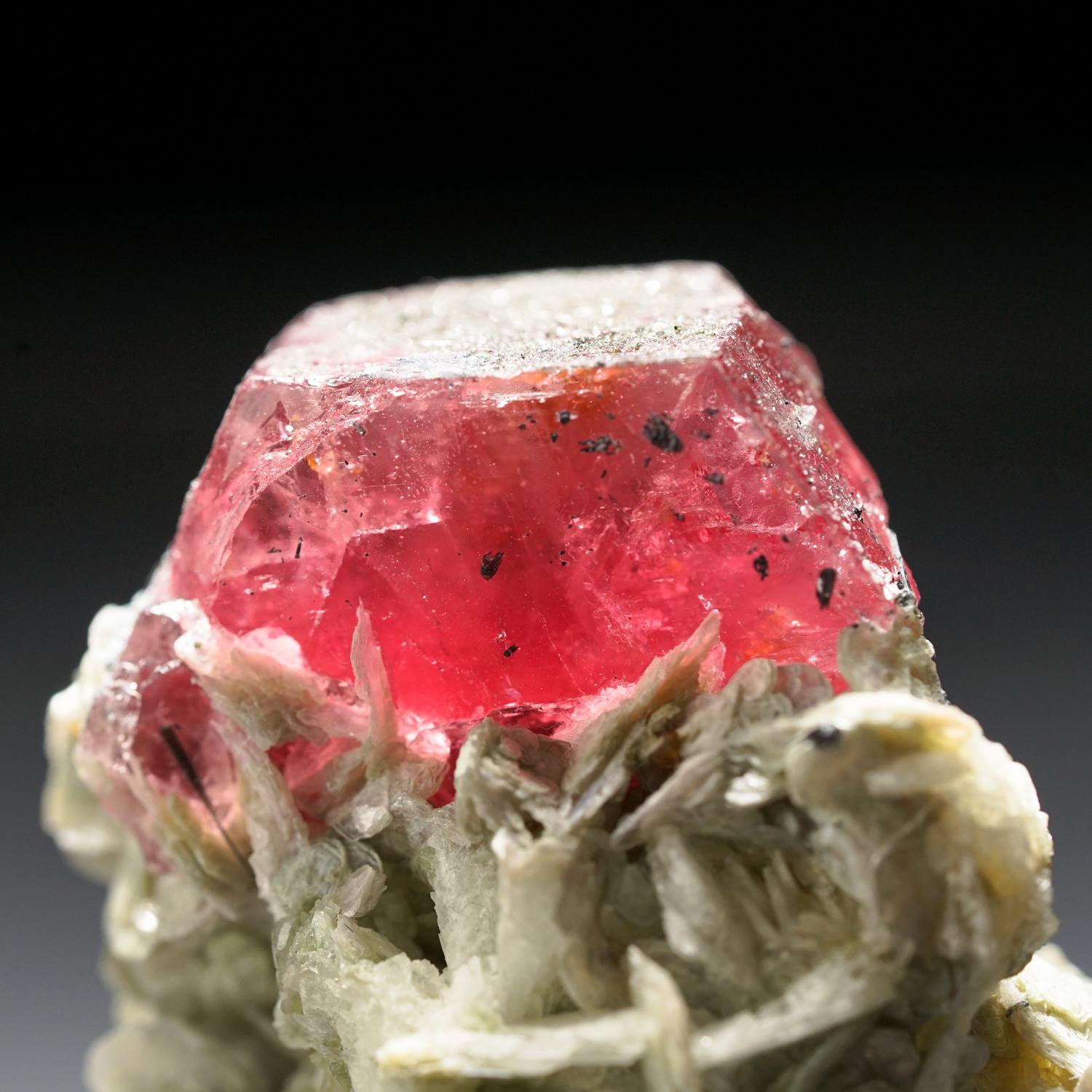 Fluorapatite with Muscovite from Hunza Valley, Gilgit-Baltistan, Pakistan For Sale 1