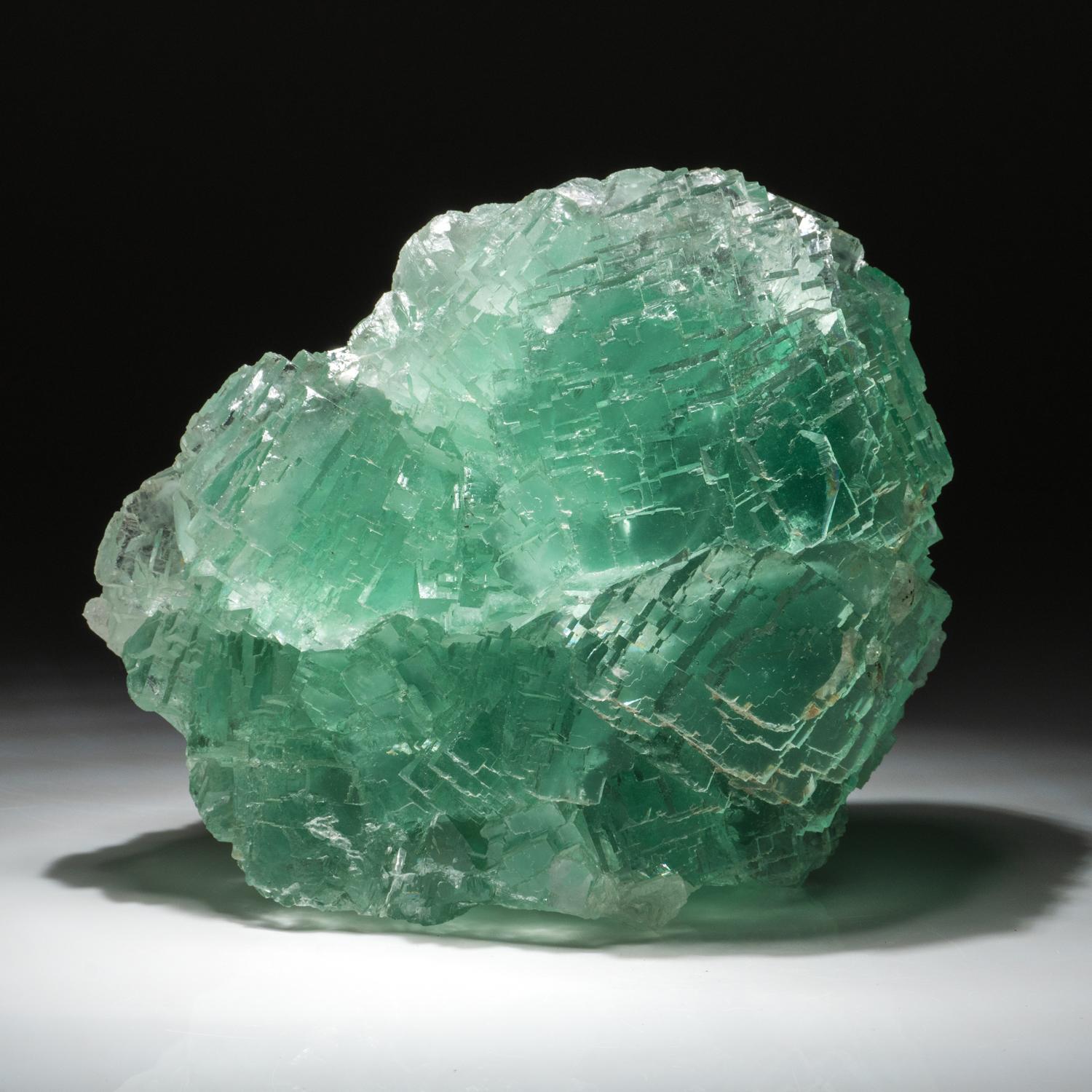 From Naica Mine, Saucillo, Chihuahua, Mexico

Transparent cubic cluster with several interpenetrate-twinned crystals of blue to emerald green fluorite with no matrix attached. The crystals have smooth lustrous faces with sharp terminations. 

8