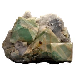 Natural Specimens