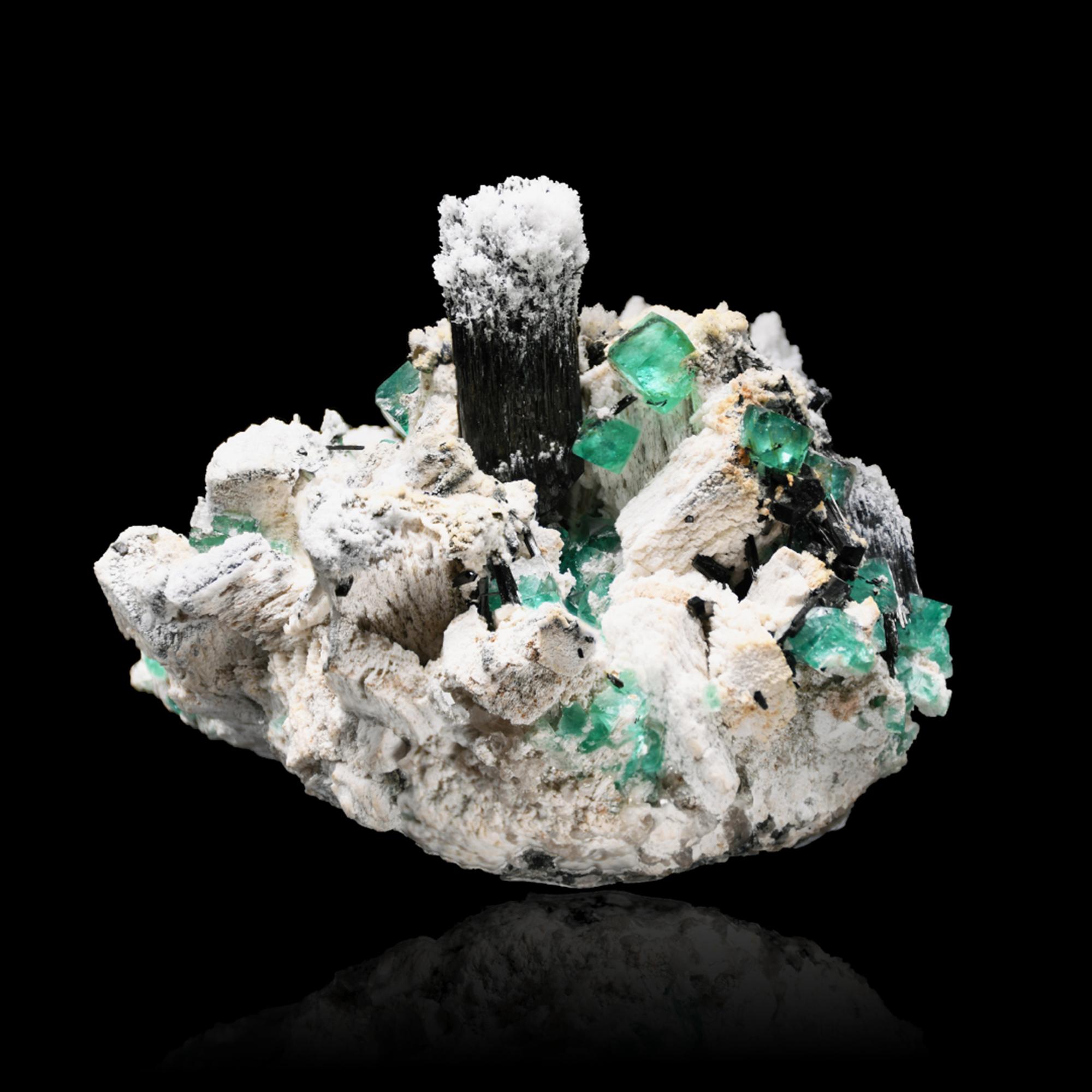 This specimen from Erongo, Namibia features the uncommon multi-mineral combination of a dramatic, vertical jet-black Black Tourmaline crystal rising from a sculptural matrix of snow-white Feldspar further adorned with vivid green Fluorite crystals