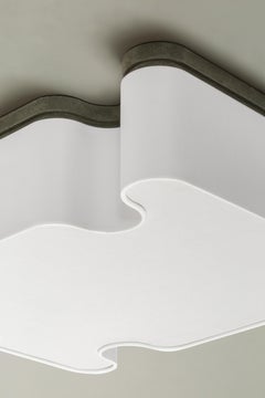 Flush Mount Leather Francesco Balzano for Giobagnara Ossicle Ceiling Lamp