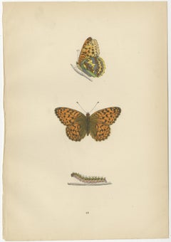 Fluttering Jewels of the Meadow: Morris's 1890 Masterpieces of Fritillaries