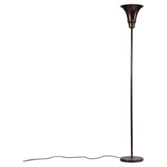 Lampade da terra in metallo