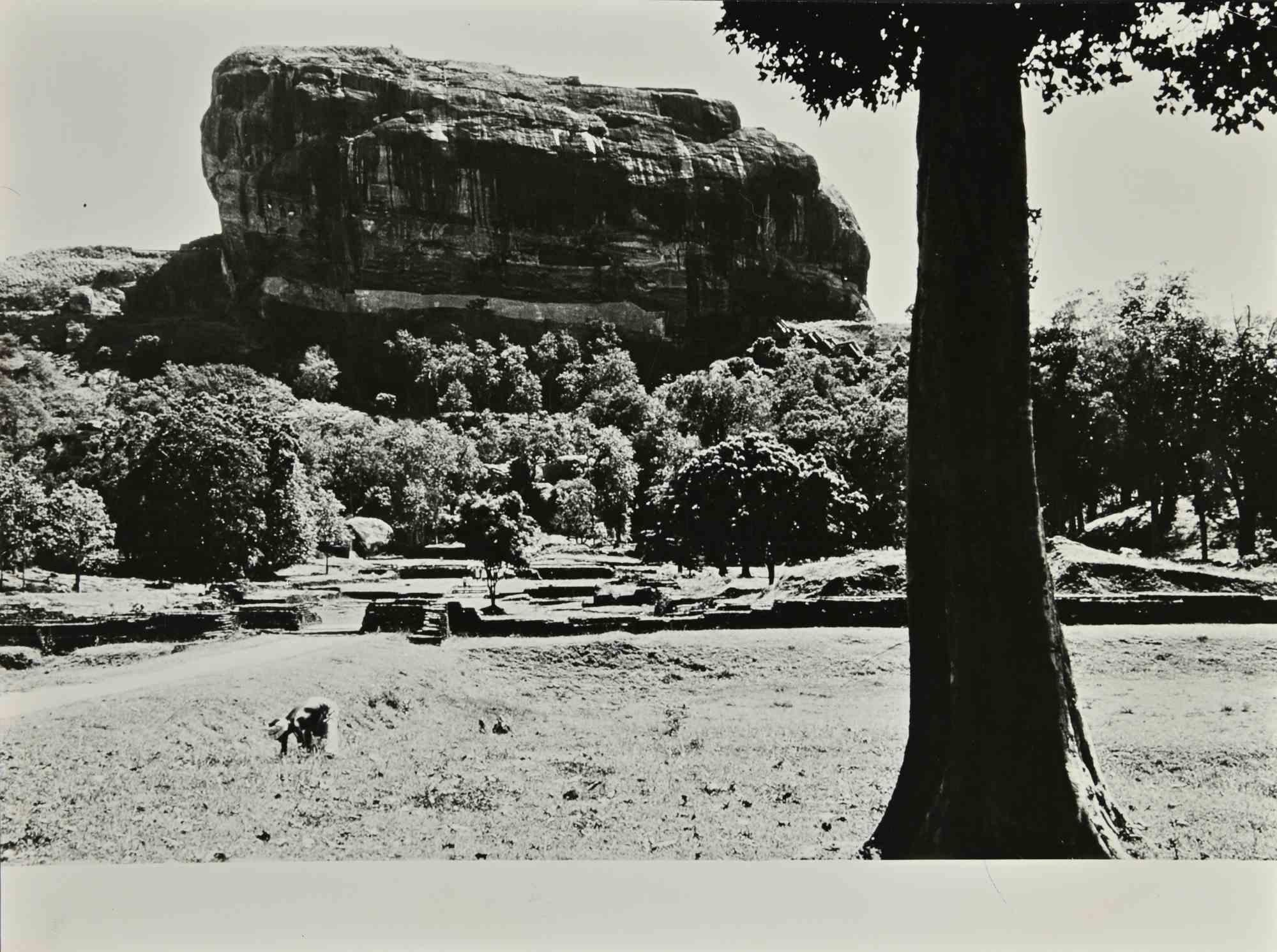 Isand- Ceylon Photo Reportage ist ein Vintage s/w Foto realisiert in den 1960er Jahren von Folco Quilici.

Gute Bedingungen.

Auf der Rückseite gestempelt.