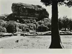 Island- Ceylon Photo Reportage - Vintage Photograph by Folco Quilici - 1960s