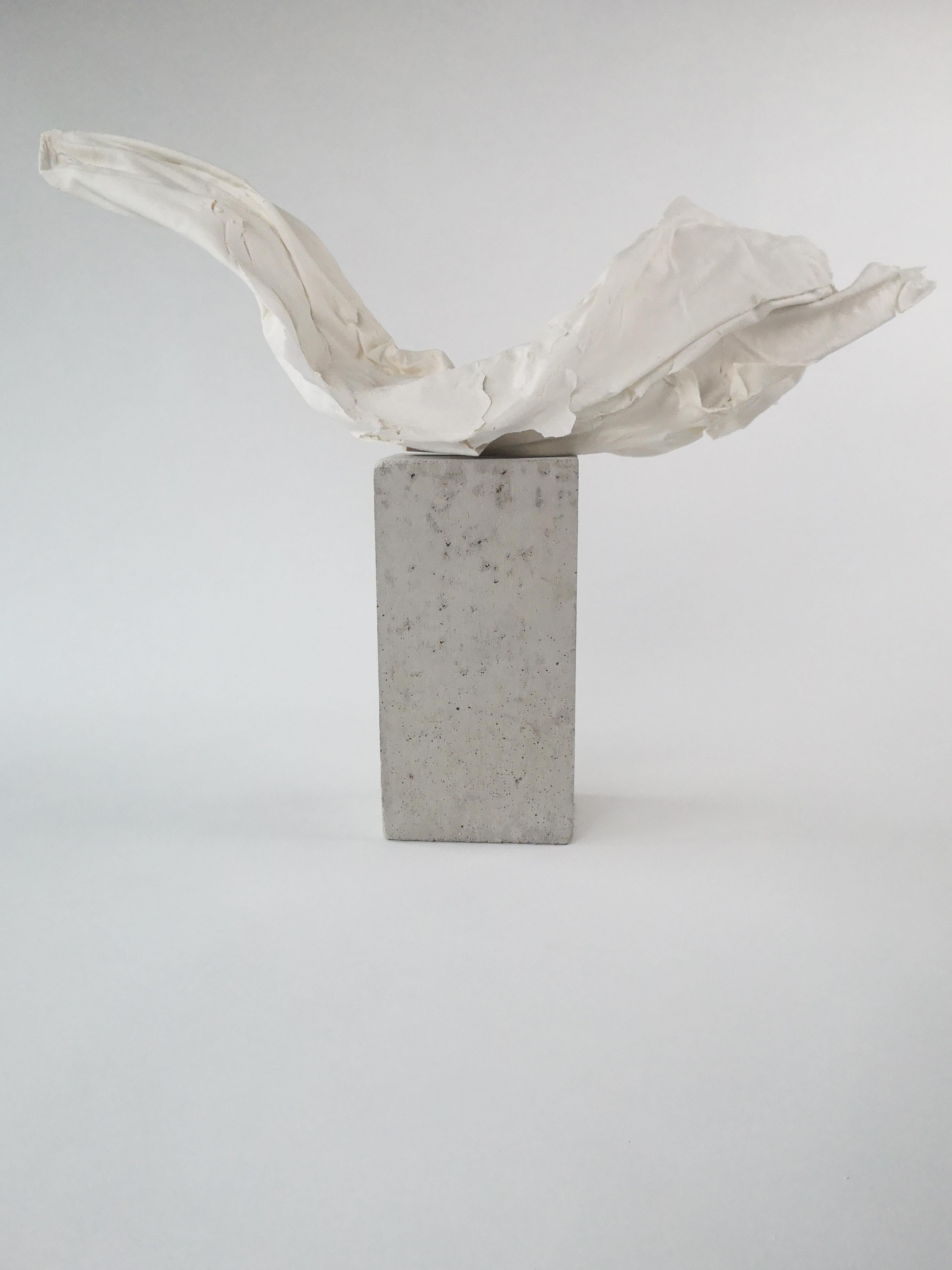 Fold I Sculpture by Dora Stanczel
One of a Kind.
Dimensions: D 15 x W 50 x H 37 cm.
Materials: Porcelain and beton pedestal.

I create bespoke and luxurious porcelain pieces with a careful aesthetic. Beyond the technical mastery of casting, what